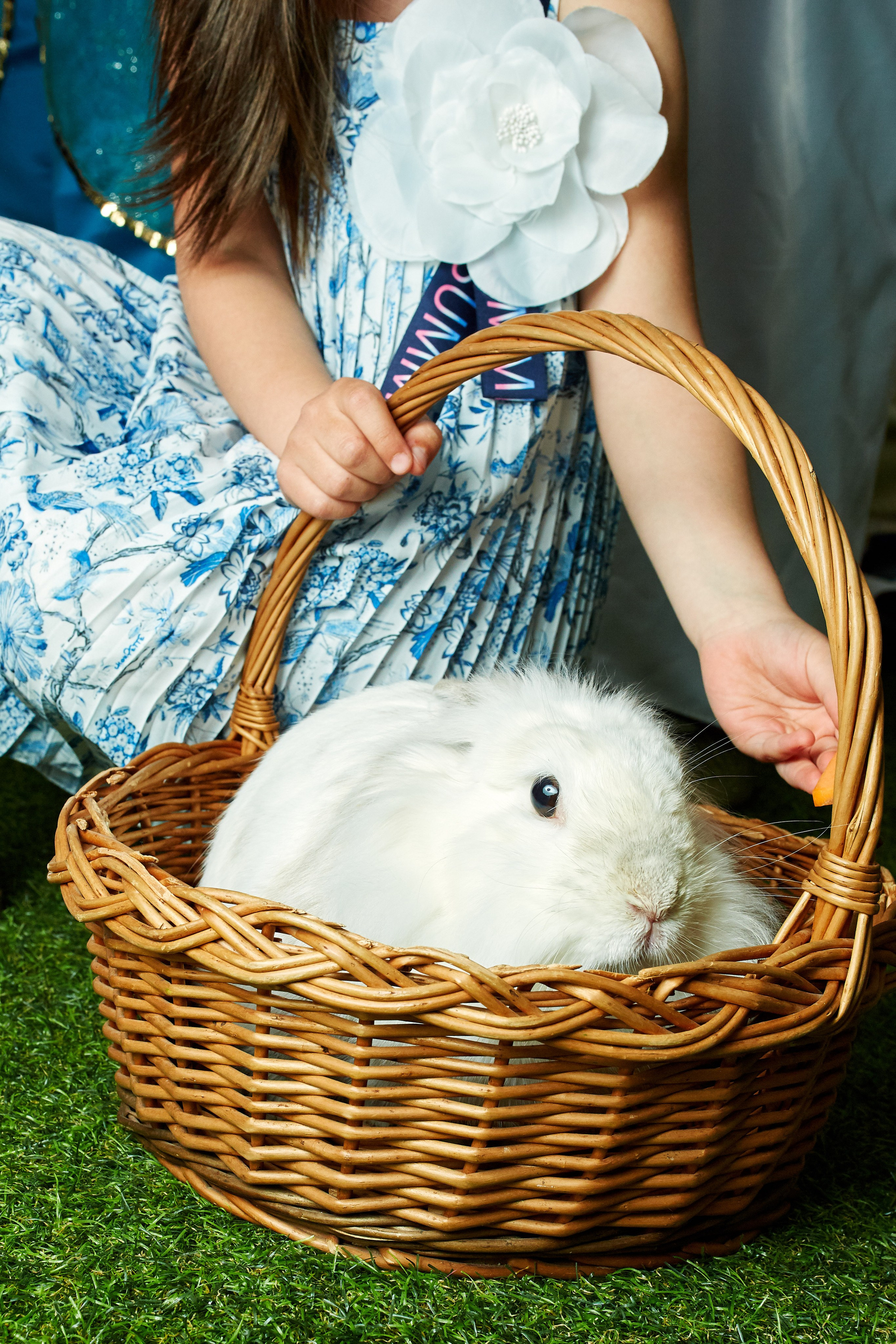 Фотограф на день рождения ребенка в Москве, заказать услуги фотосъёмки — Стоимость и цены на услуги фотографа на день рождения ребёнка