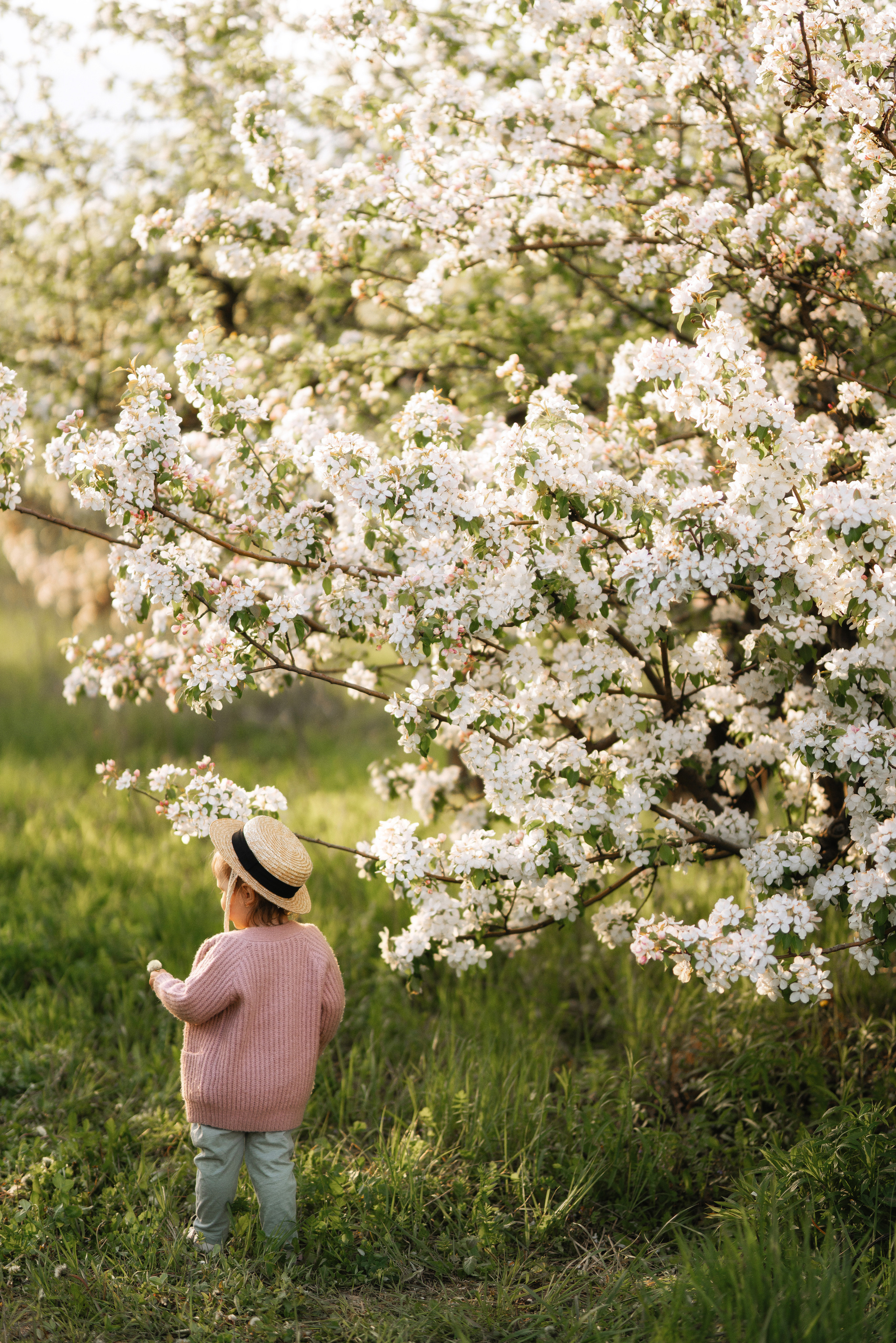 Саша и Стеша