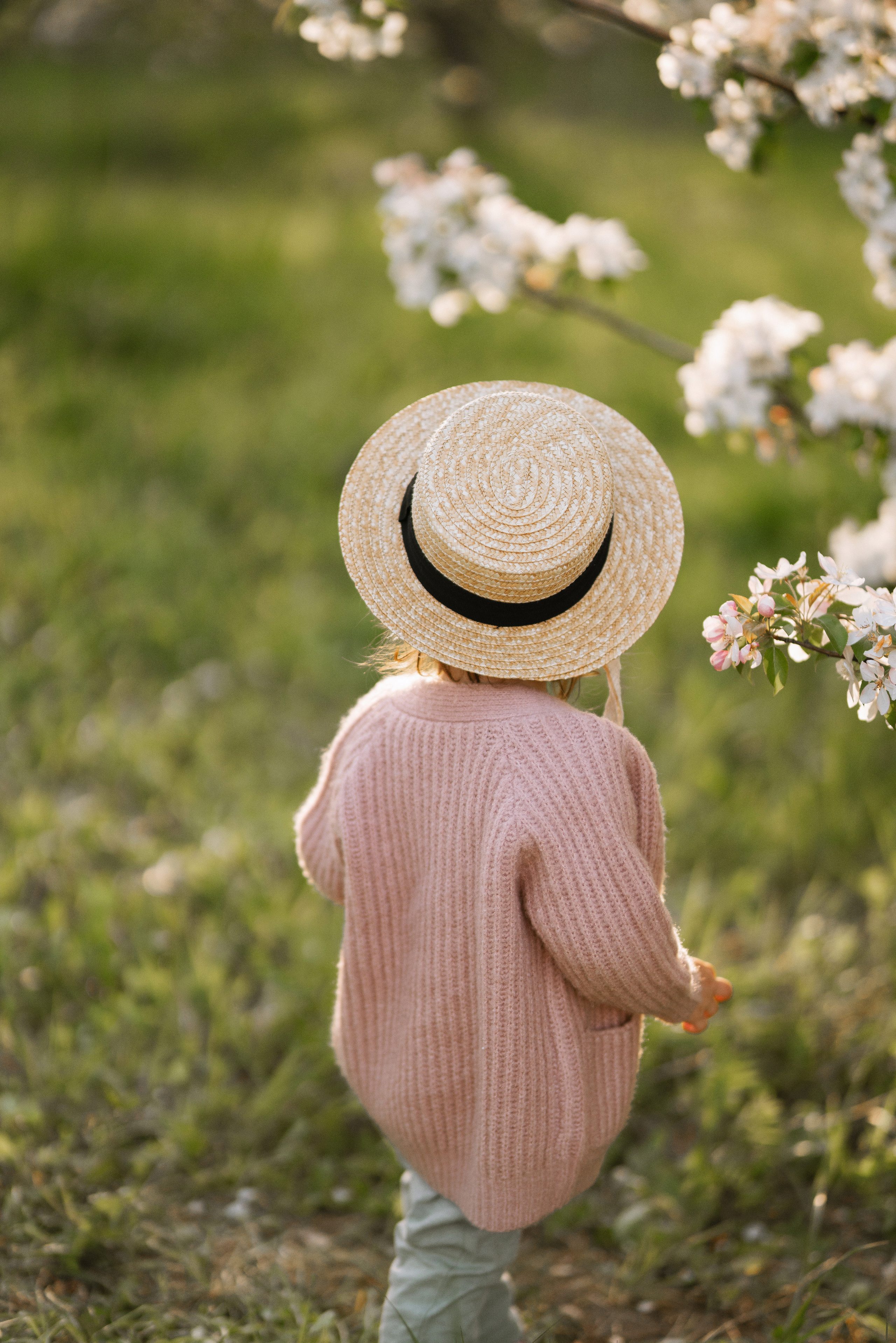 Саша и Стеша