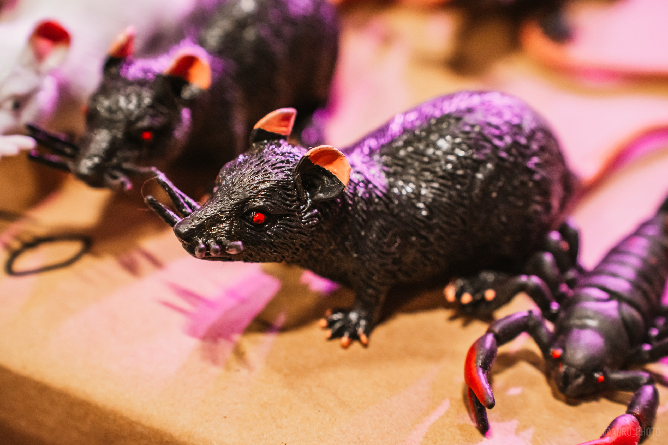 Рептилиум (ручная работа). Репортажный фотограф Анастасия Рубцова