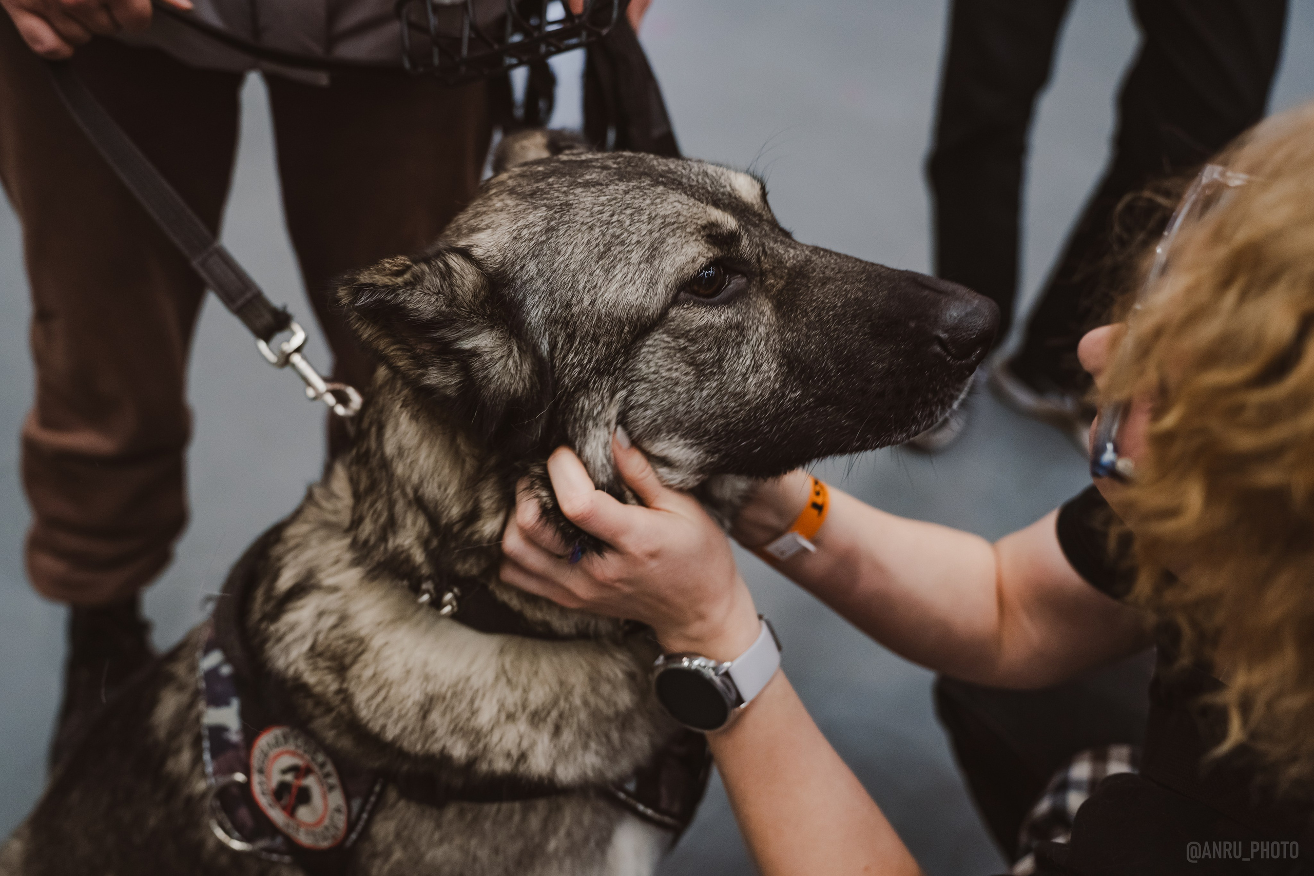 Fox Family fest. Репортажный фотограф Анастасия Рубцова