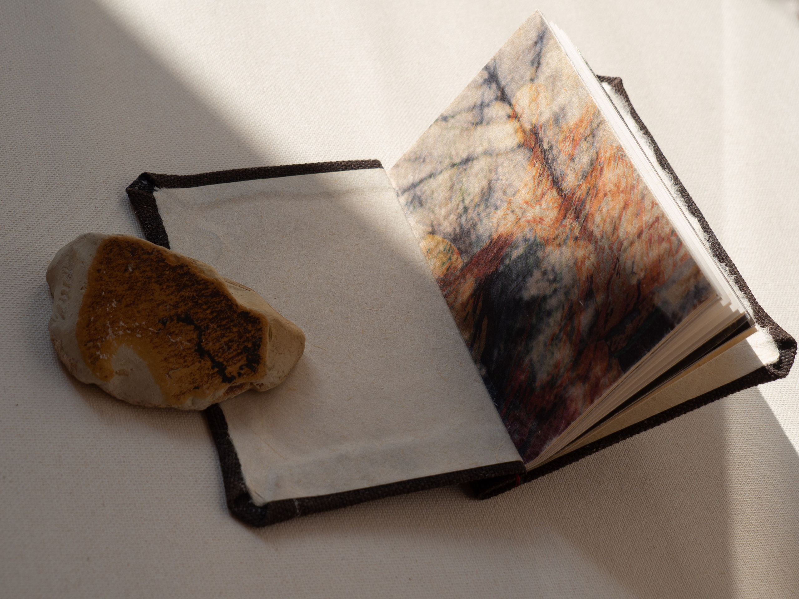 Drawing a tree. Ekaterina Shikhanova