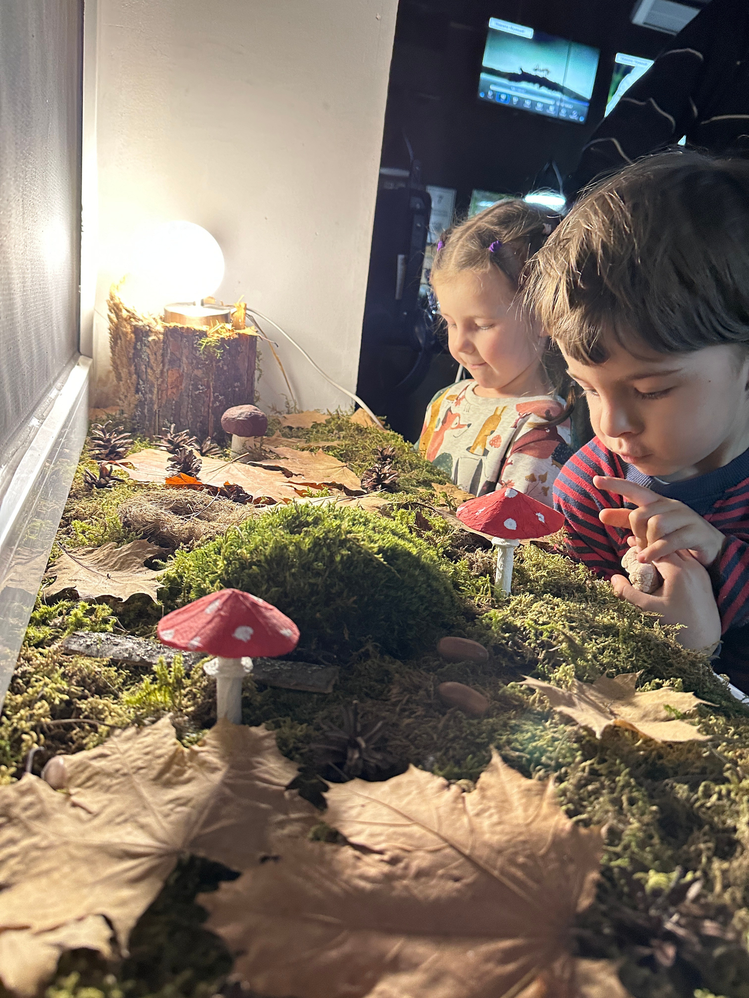 Дети. Смотри, красота!