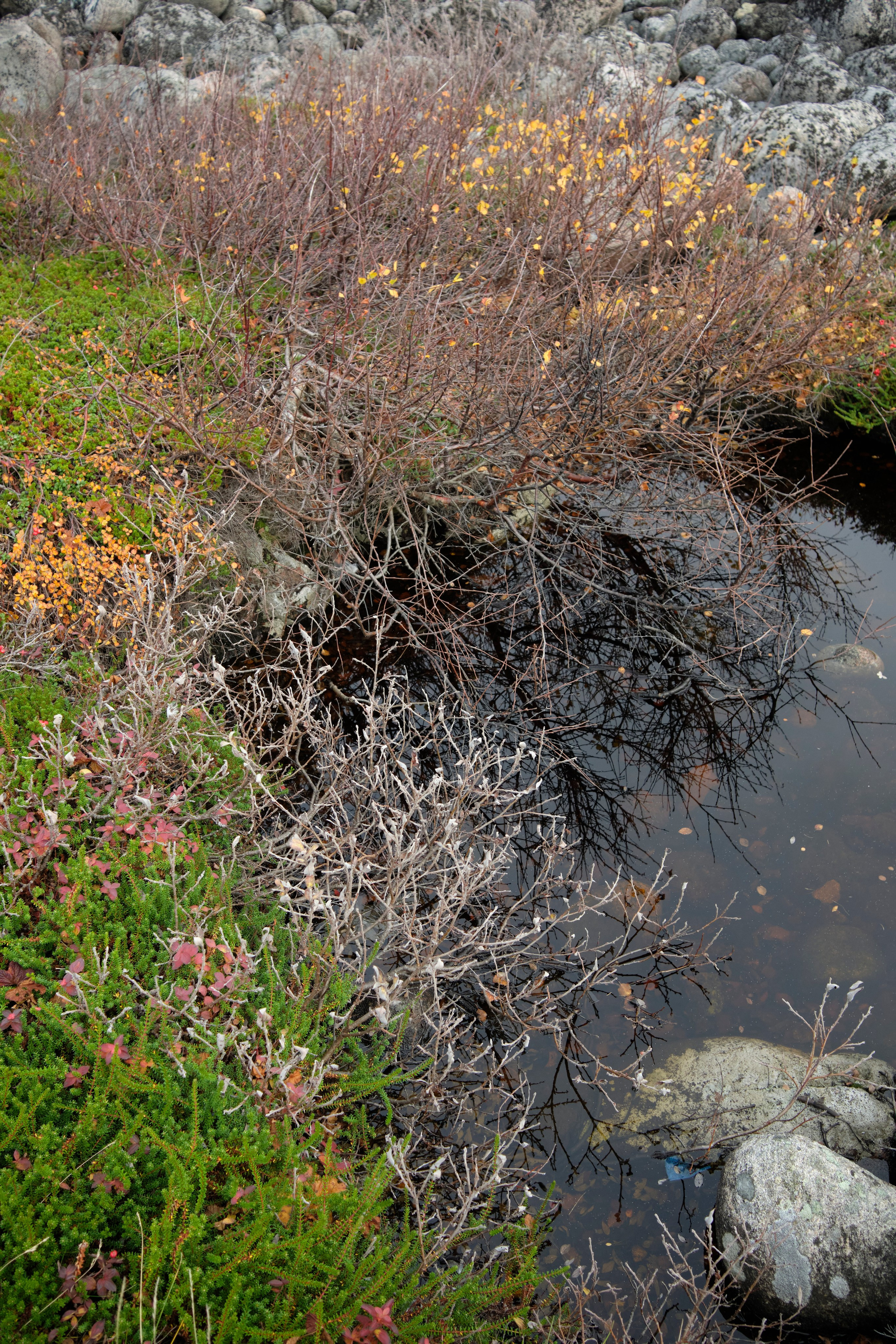 Путешествие в Териберку. Елена Павленко. Фотограф. Москва