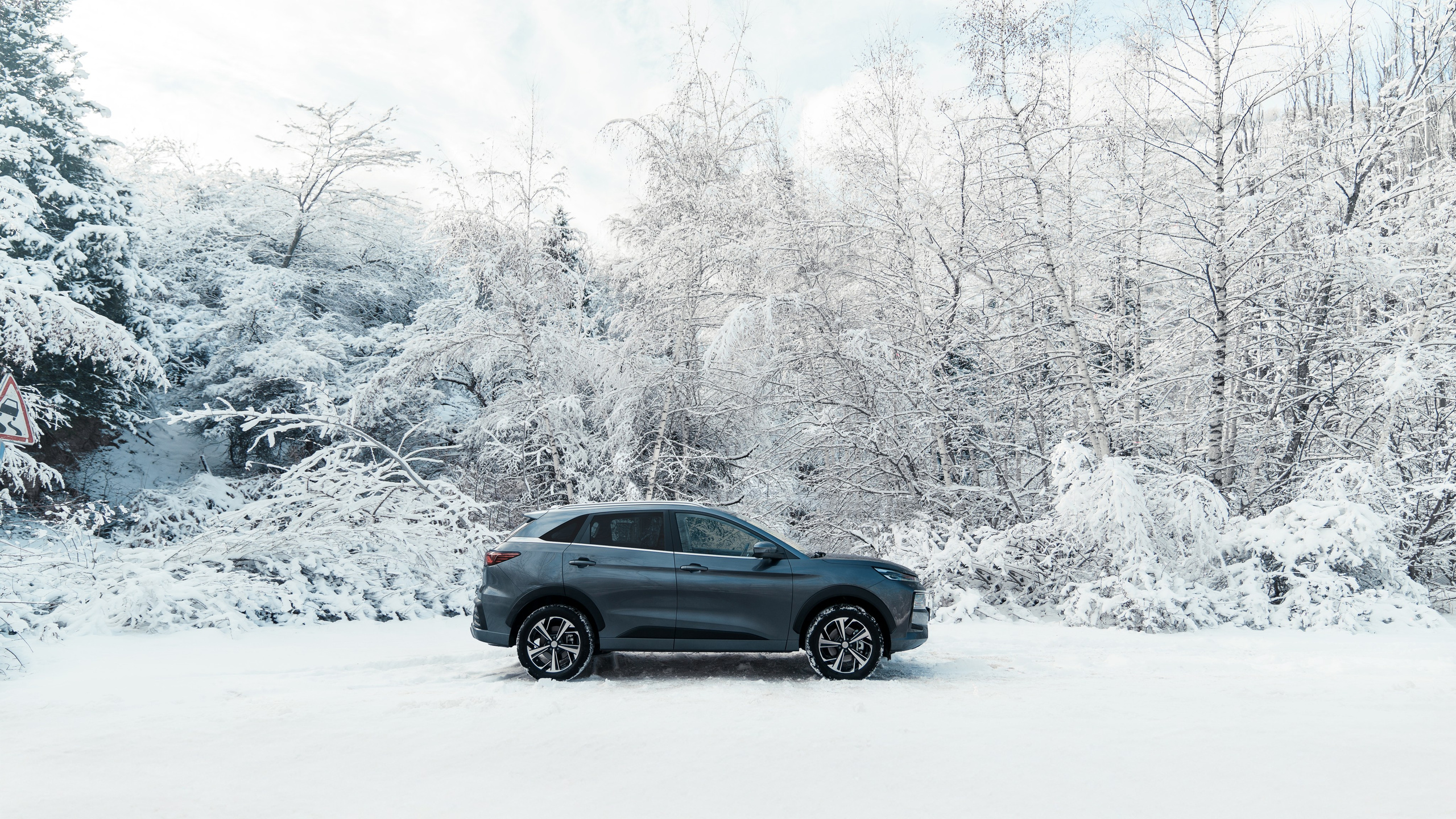 JAC. Фотограф TAULAN_1