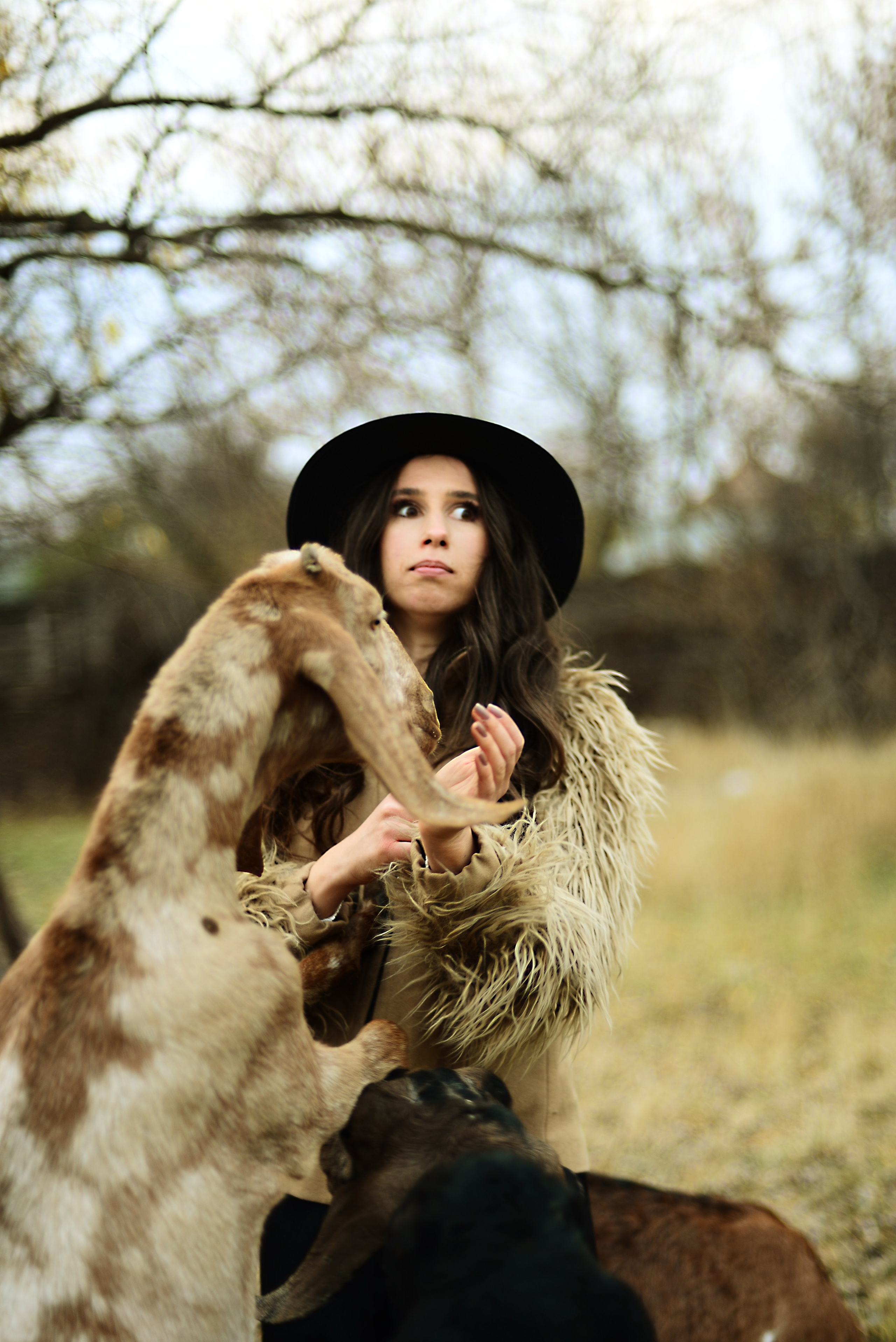 Маша и козочки. Кристина Зуенкова. Фотограф в Луганске