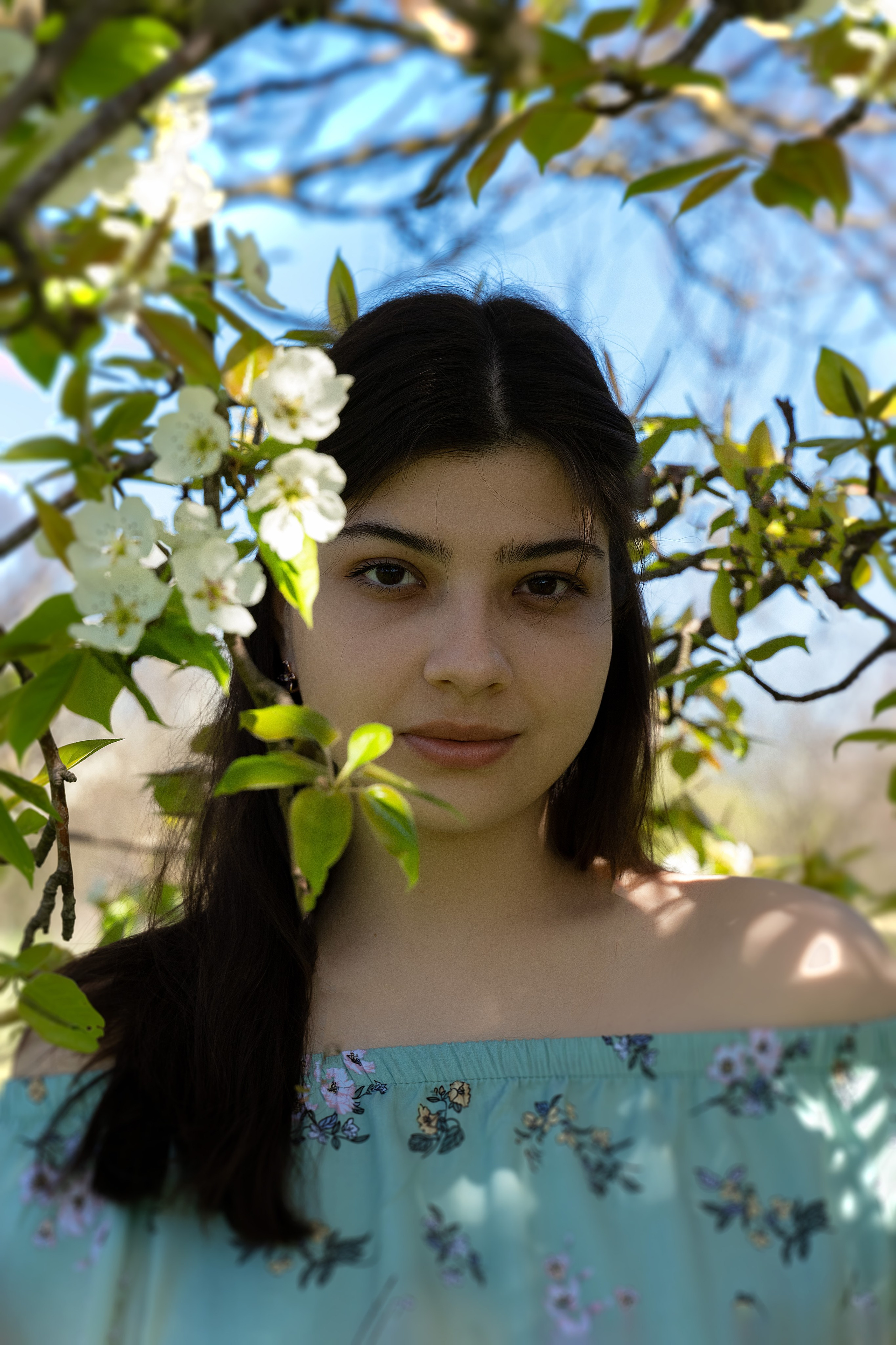 Смешанное цветение и зелень. Главная