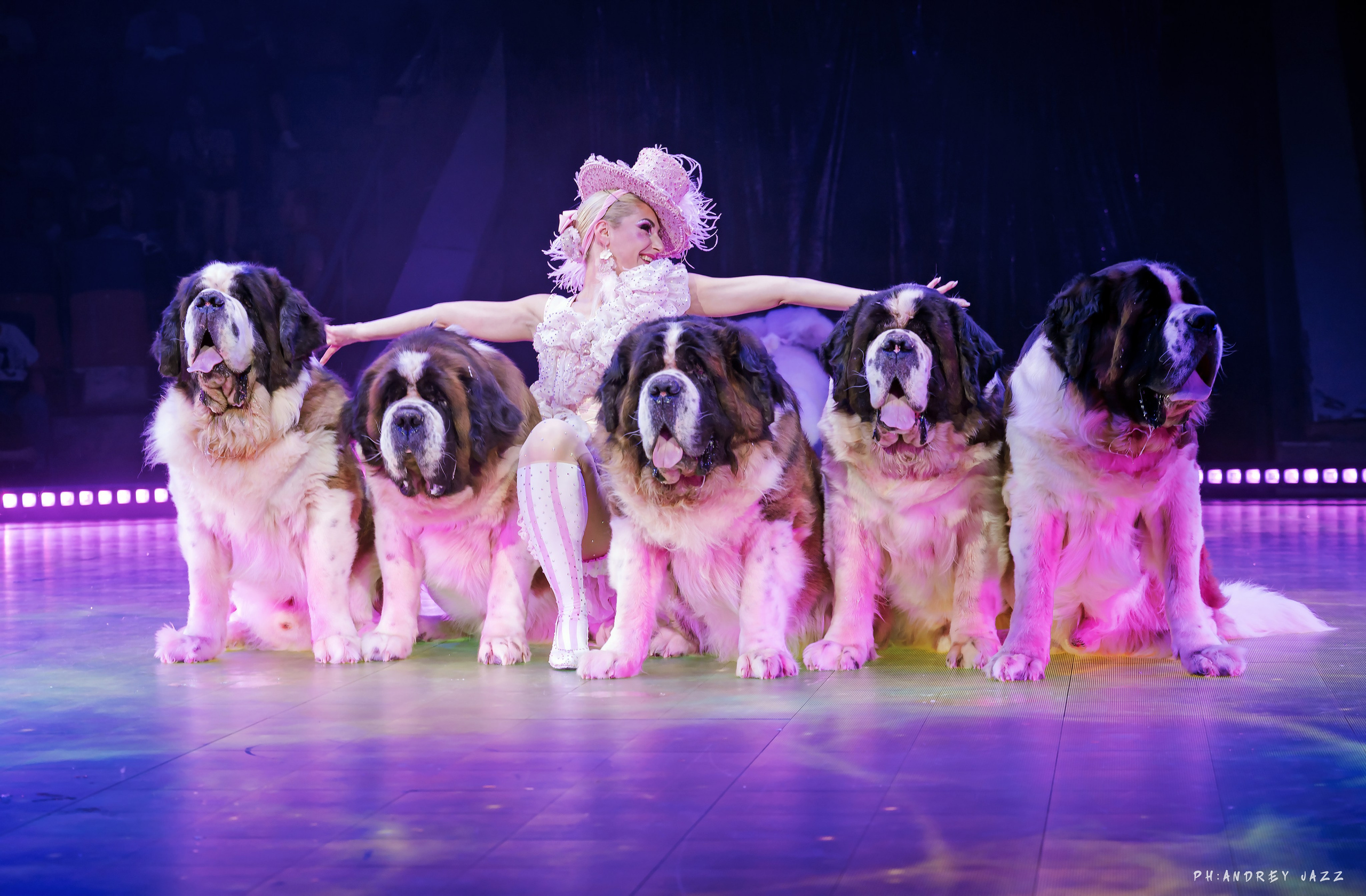 Фотограф Андрей Пухов (Jazz)