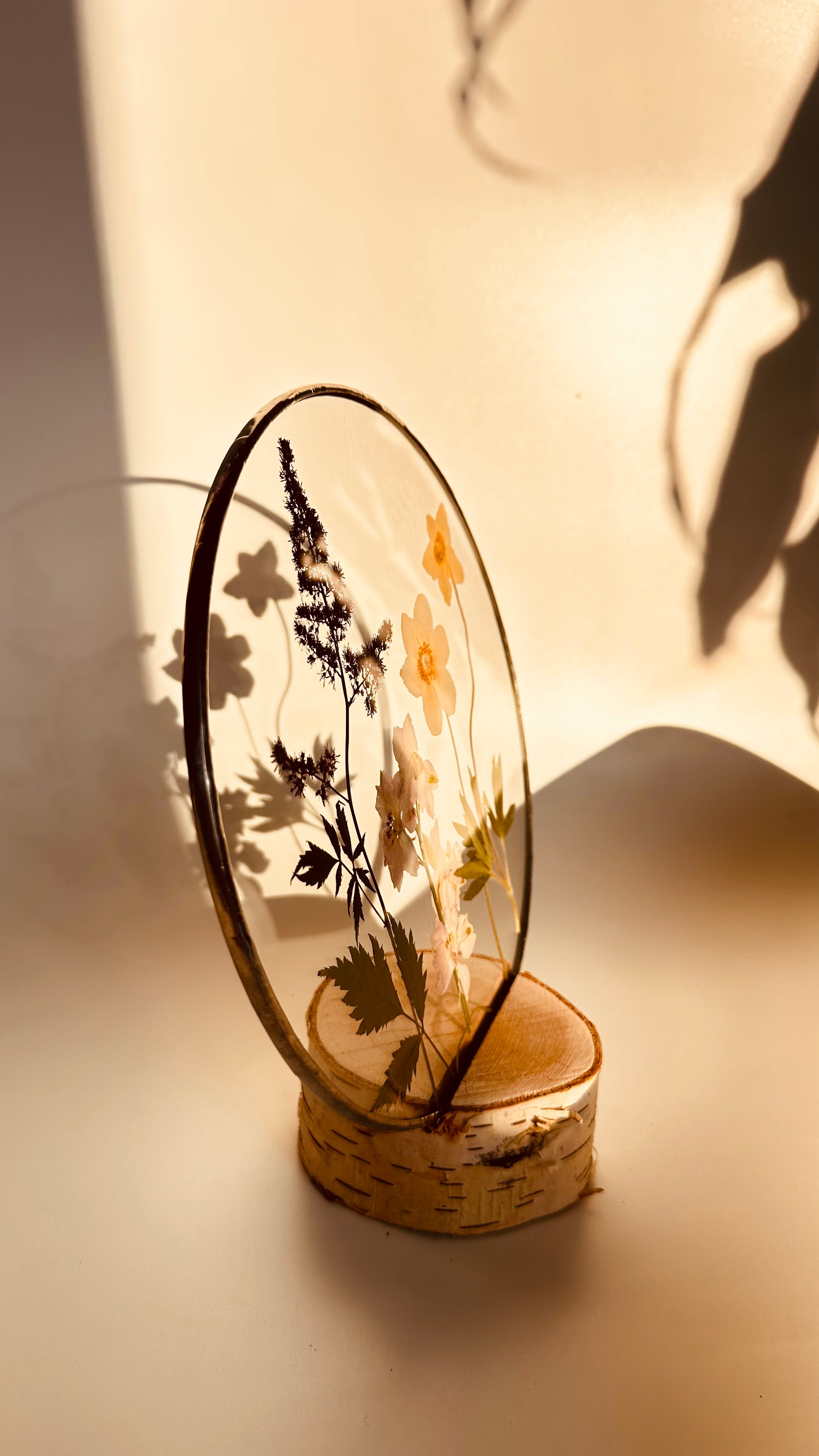 Гербарий в стекле с сухоцветами (витраж в технике тиффани). Гербарий в стекле, интерьерные панно, витражи с сухоцветами в технике тиффани