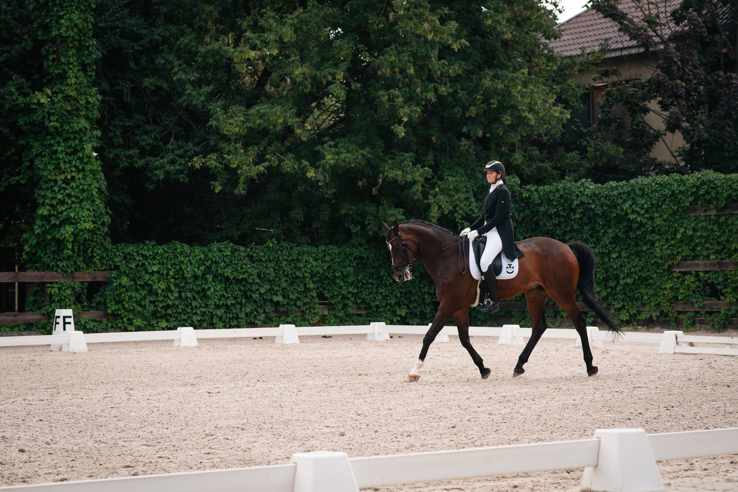 Выездка 10.08.25. Фотограф, визажист. Москва