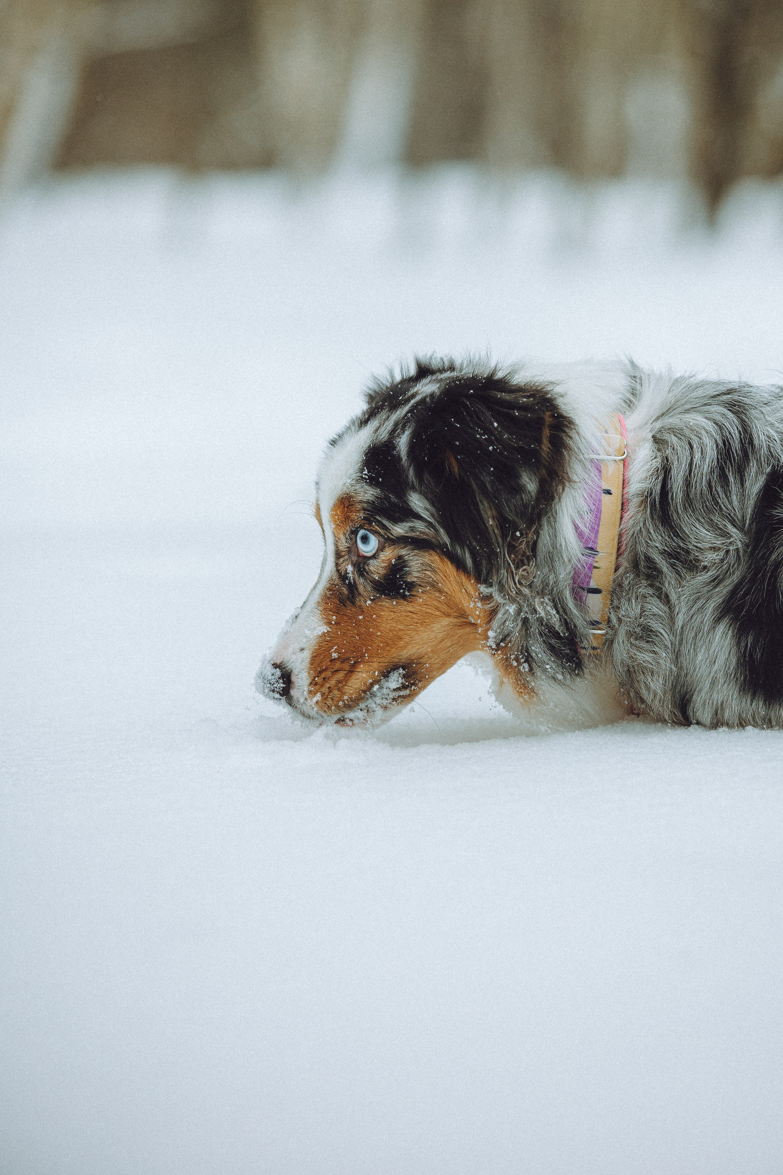 Фаня и ее семья