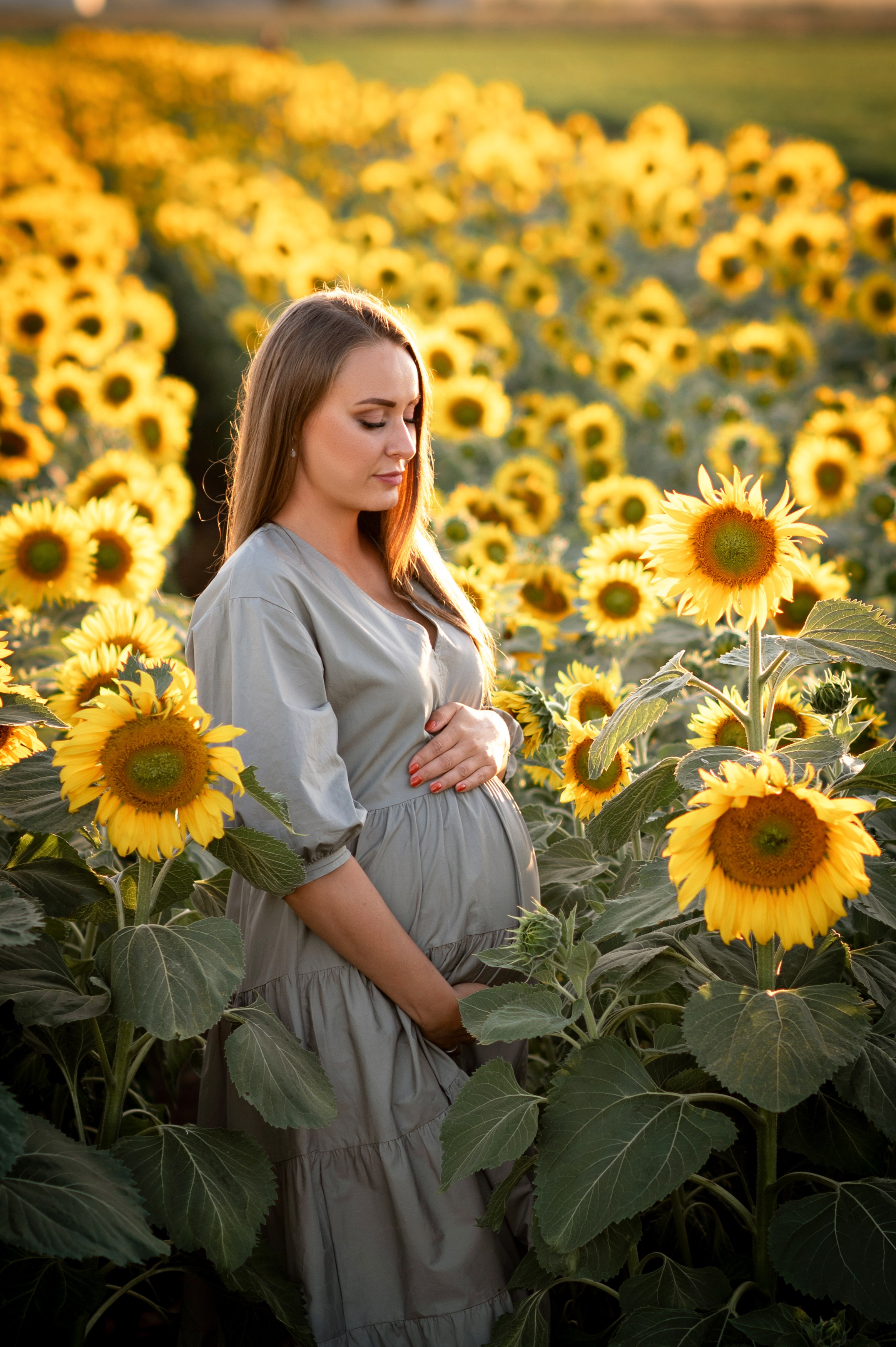 Подсолнухи. Семейный фотограф в Красноярске Надежда Кошелева