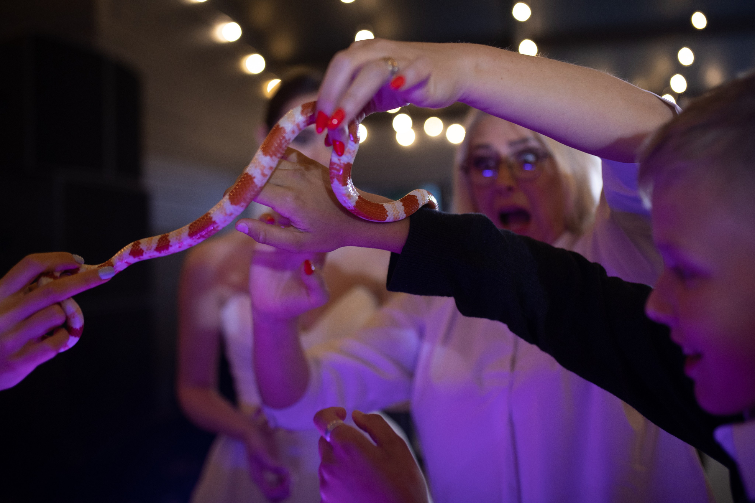 Anastasya/Anton. Свадебный фотограф Павел Князев