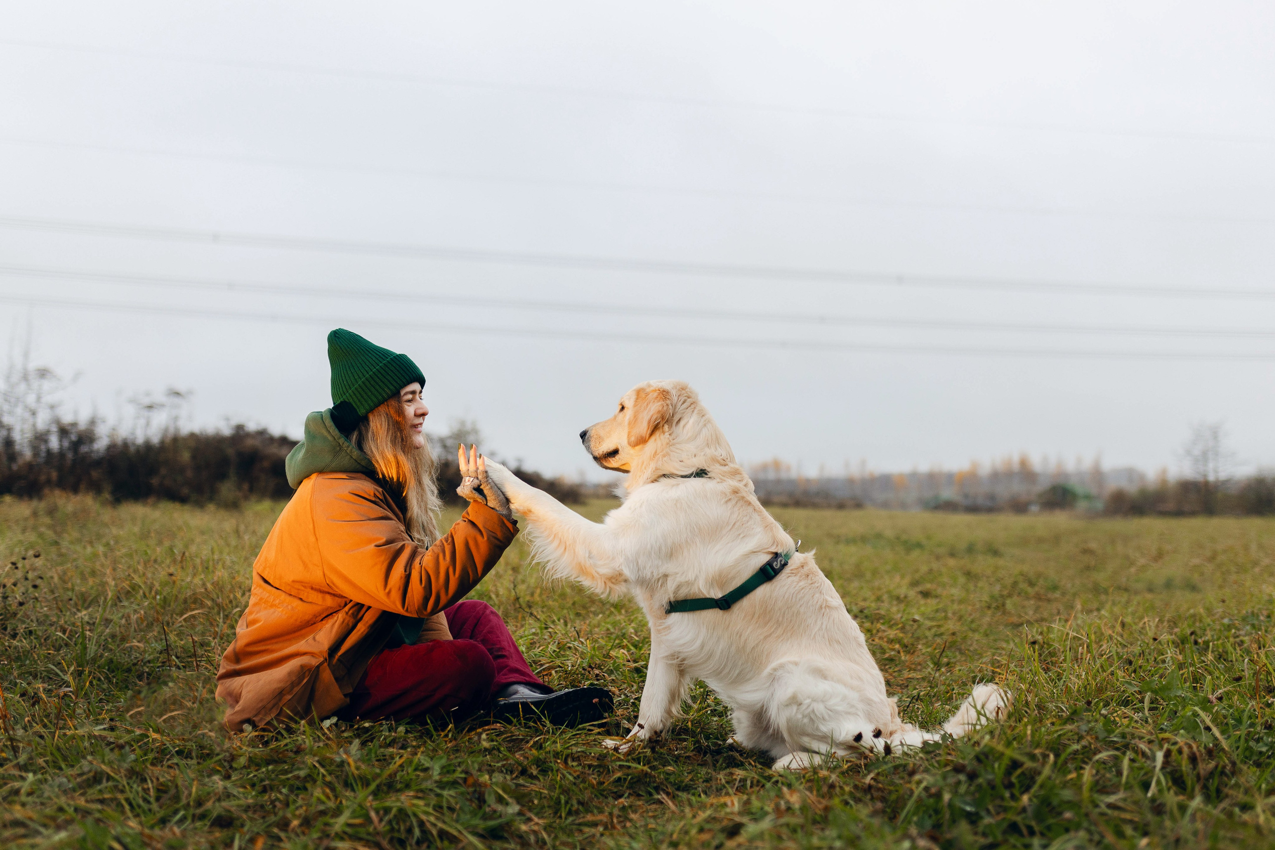 Dogcamp / Полина и Миша. Фотограф Кузина Вера