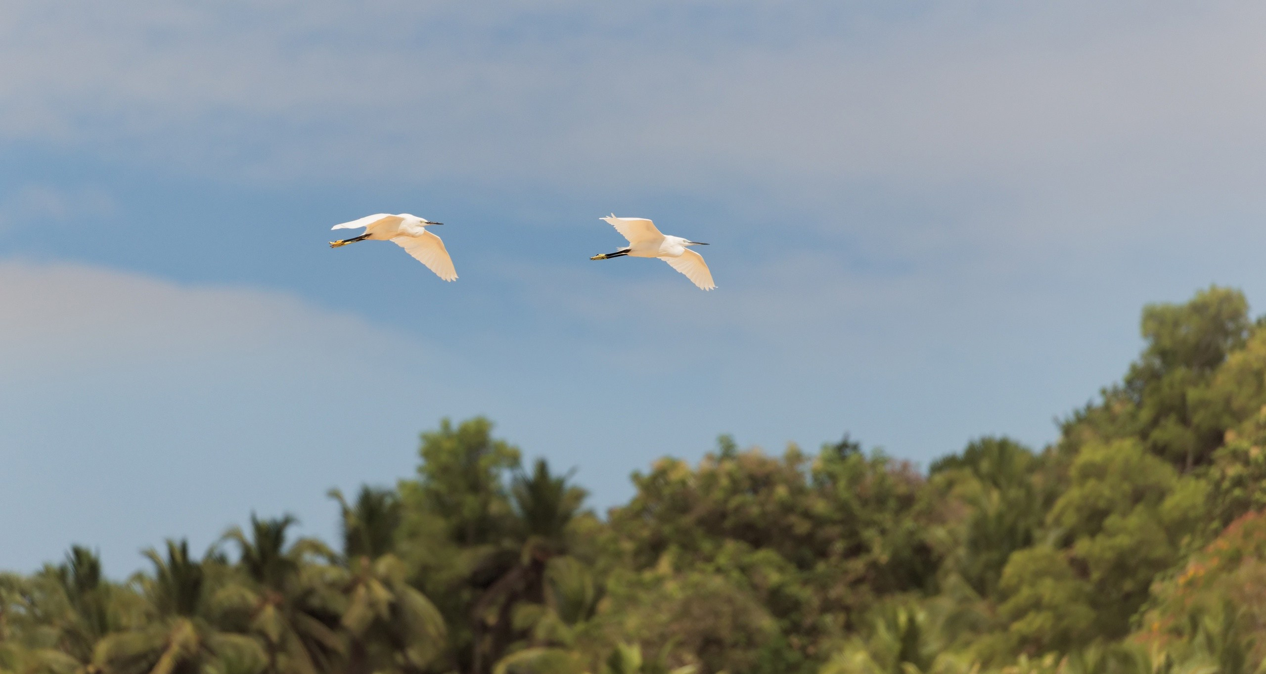 ПРИРОДА. Слепки времени. Фотографии природы и событий. Москва. Сергей Аллагулов