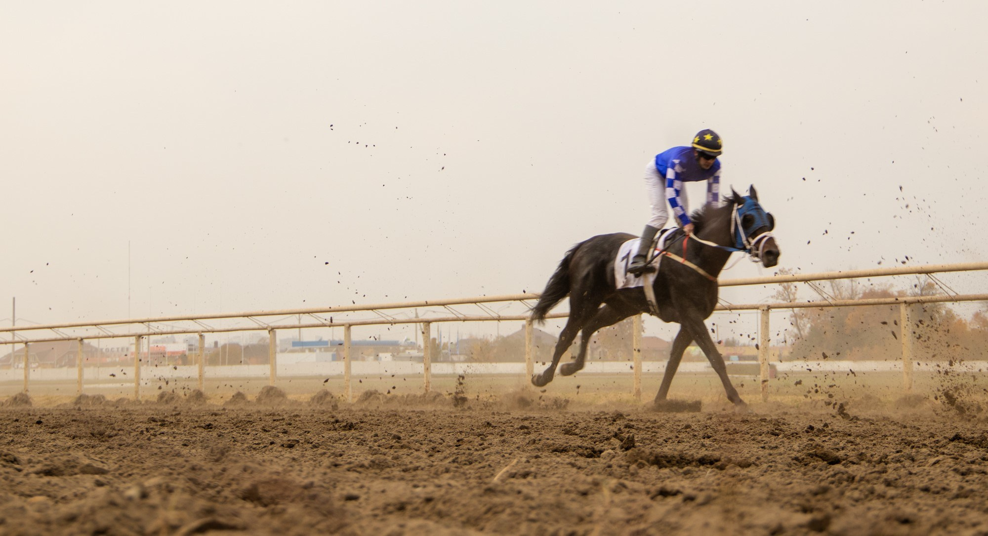 Закрытие скакового сезона на Краснодарском ипподроме. Репортажный, промышленный и маркетплейс-фотограф Дмитрий Чернат