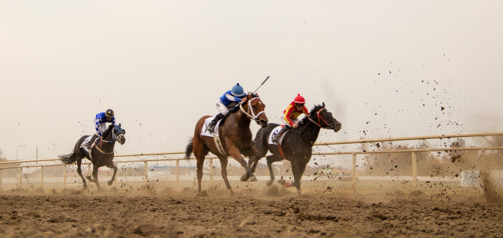 Закрытие скакового сезона на Краснодарском ипподроме. Репортажный, промышленный и маркетплейс-фотограф Дмитрий Чернат