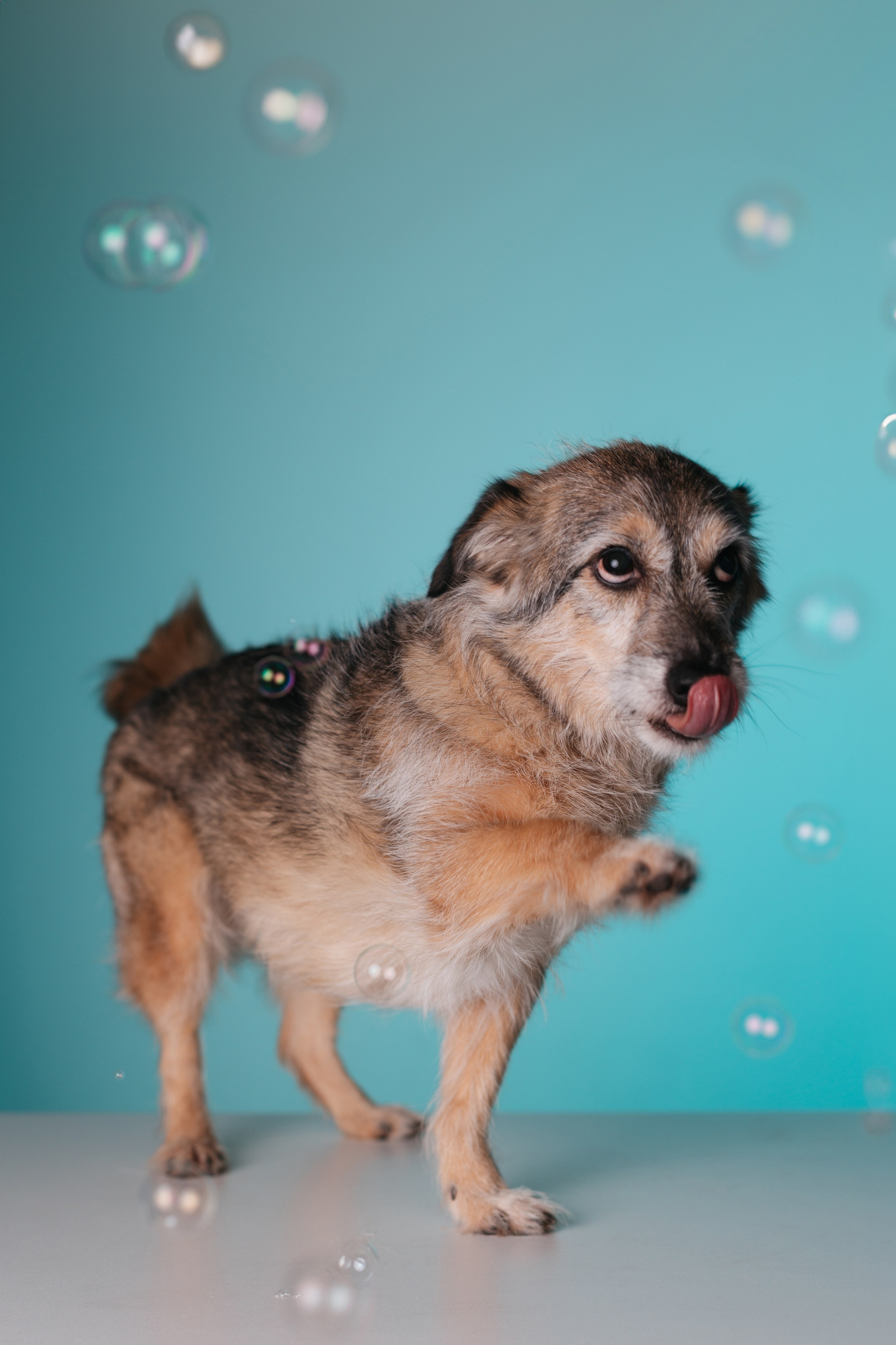 Неон 2 (фотодень). Фотограф анималист Кристина Карпова, Москва