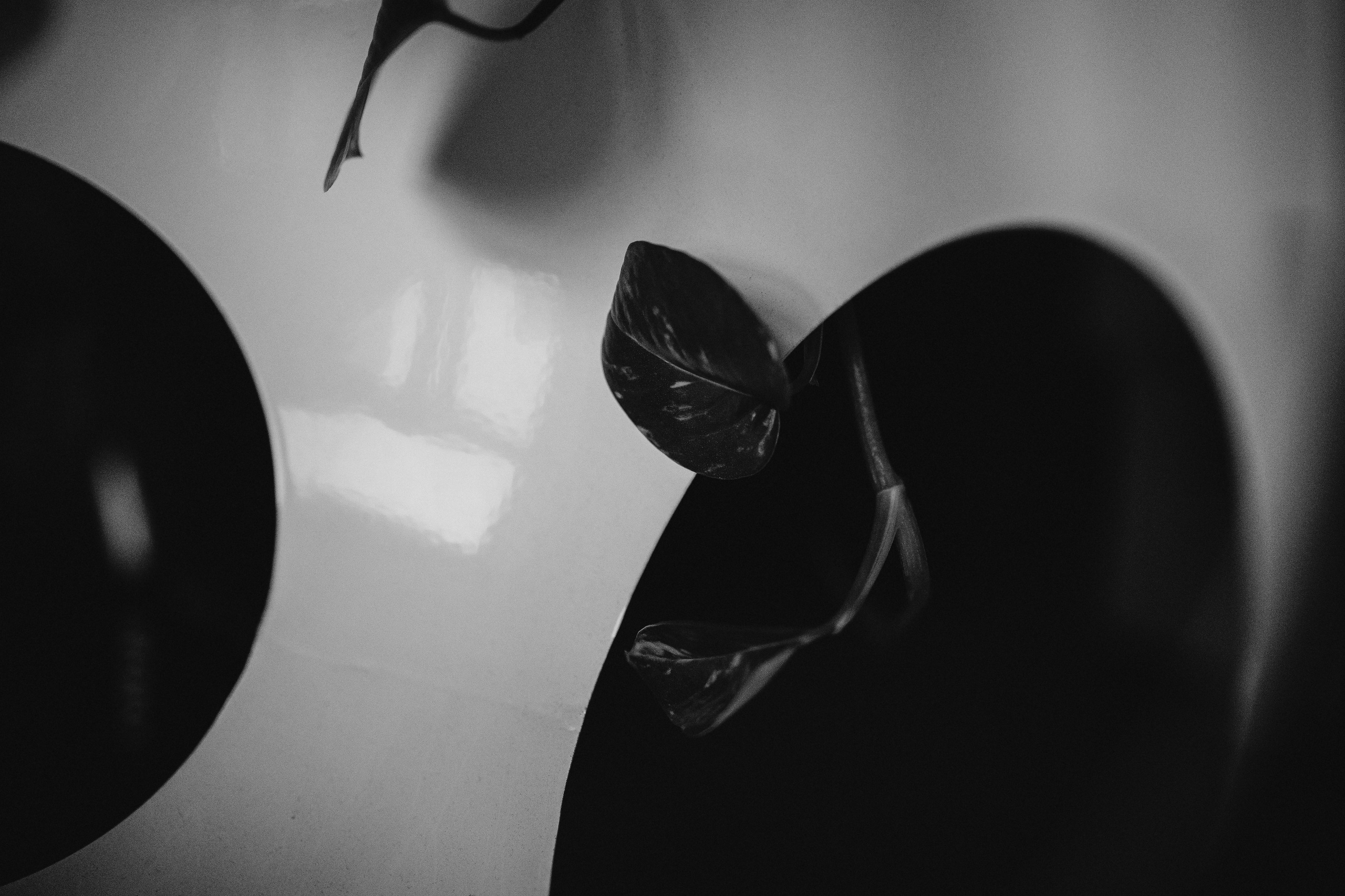 Не курить. Свадебный фотограф в Москве | Профессиональный фотограф | Выгодные цены на услуги