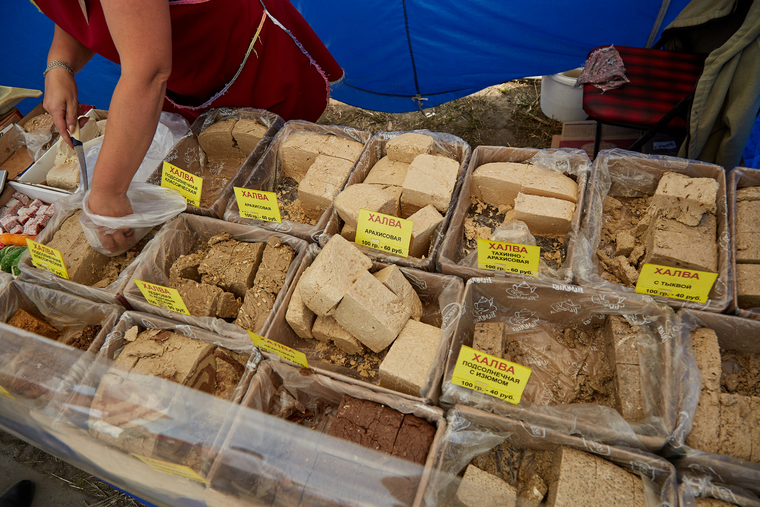 День Сибирского поля (АПК-Интех). Фотограф Барнаул Фатыхов Тимур