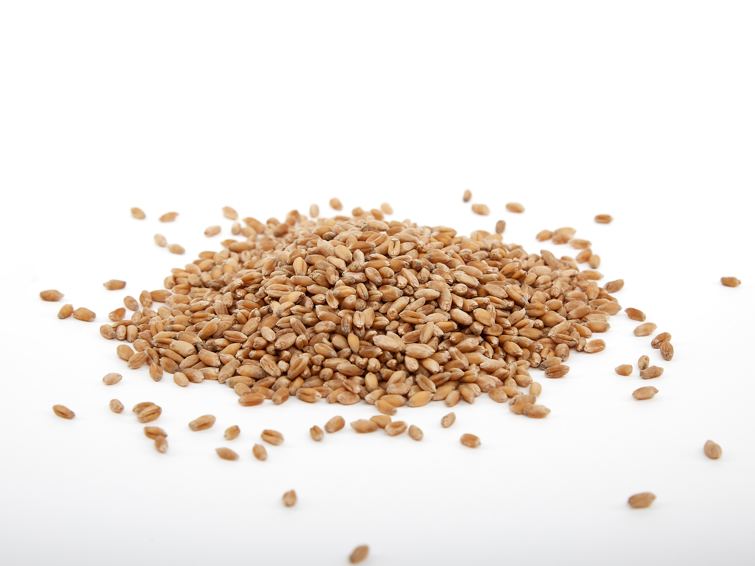 Крупы. Фотограф Барнаул Фатыхов Тимур