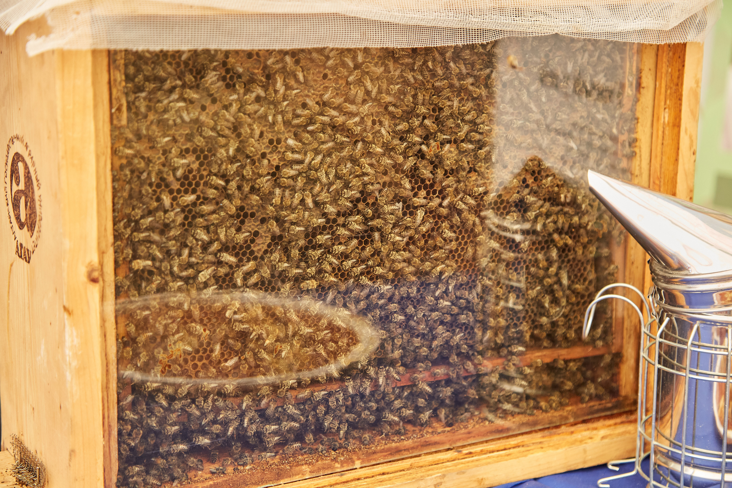 День Сибирского поля (АПК-Интех). Фотограф Барнаул Фатыхов Тимур