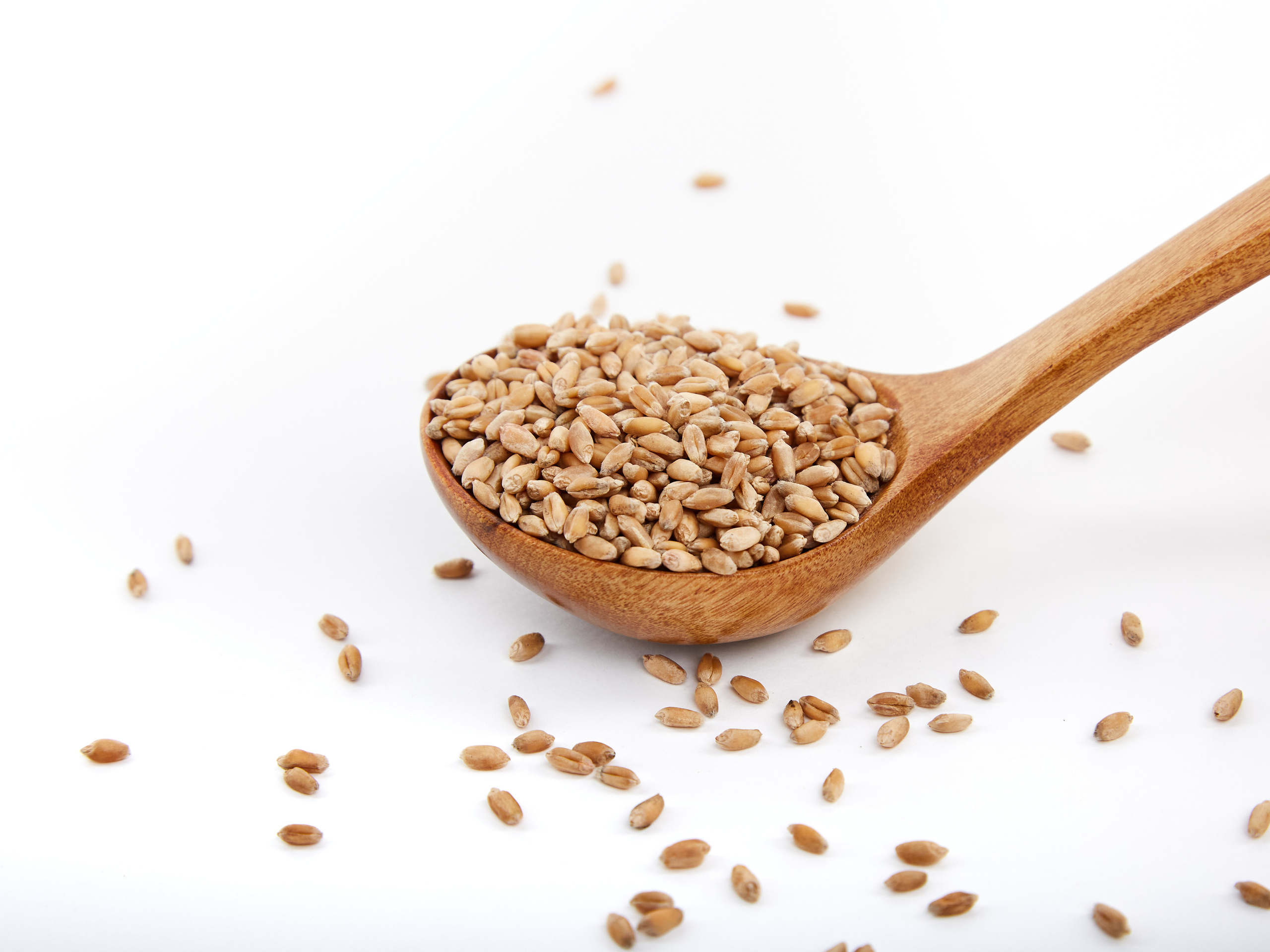 Крупы. Фотограф Барнаул Фатыхов Тимур