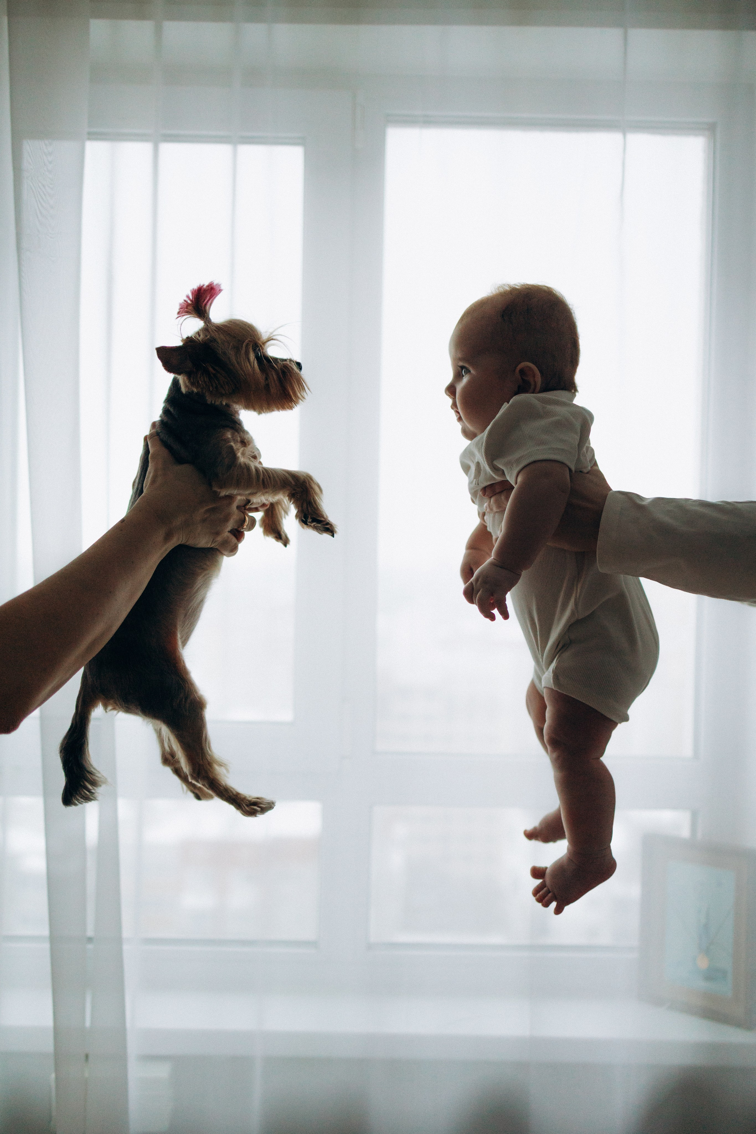 14. Семейный фотограф в Москве Жукова Анна