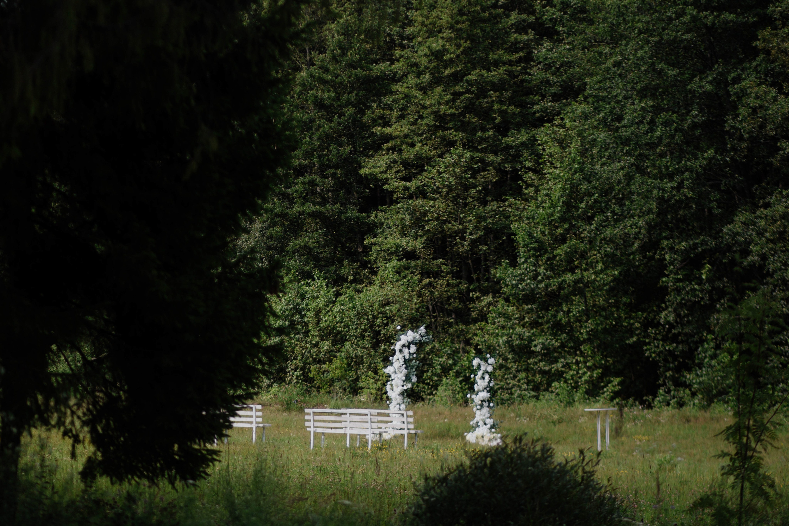 Александр и Диана. Фотограф Анна Агеева