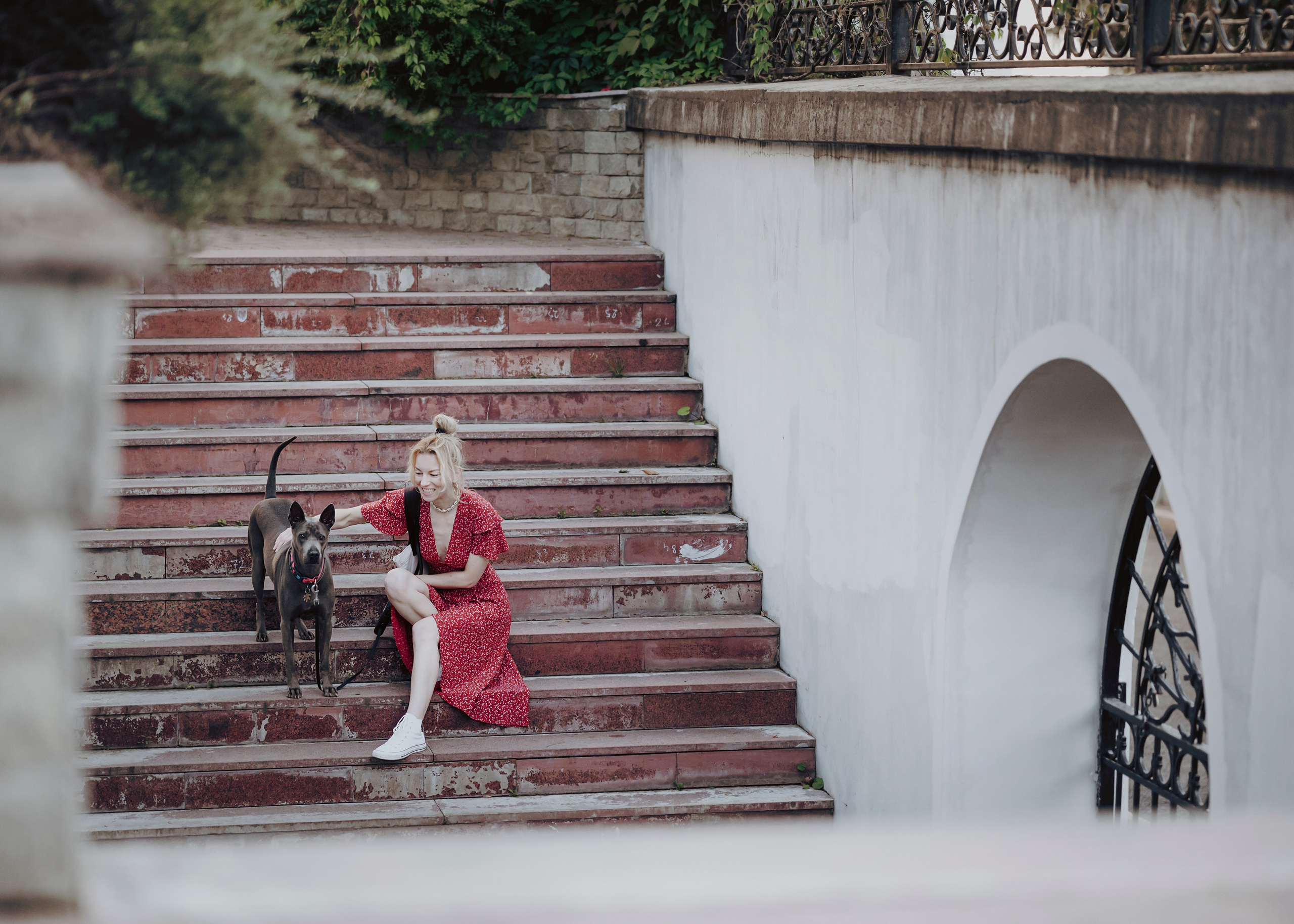 Шарма. Фотограф- анималист Александра Матвеева