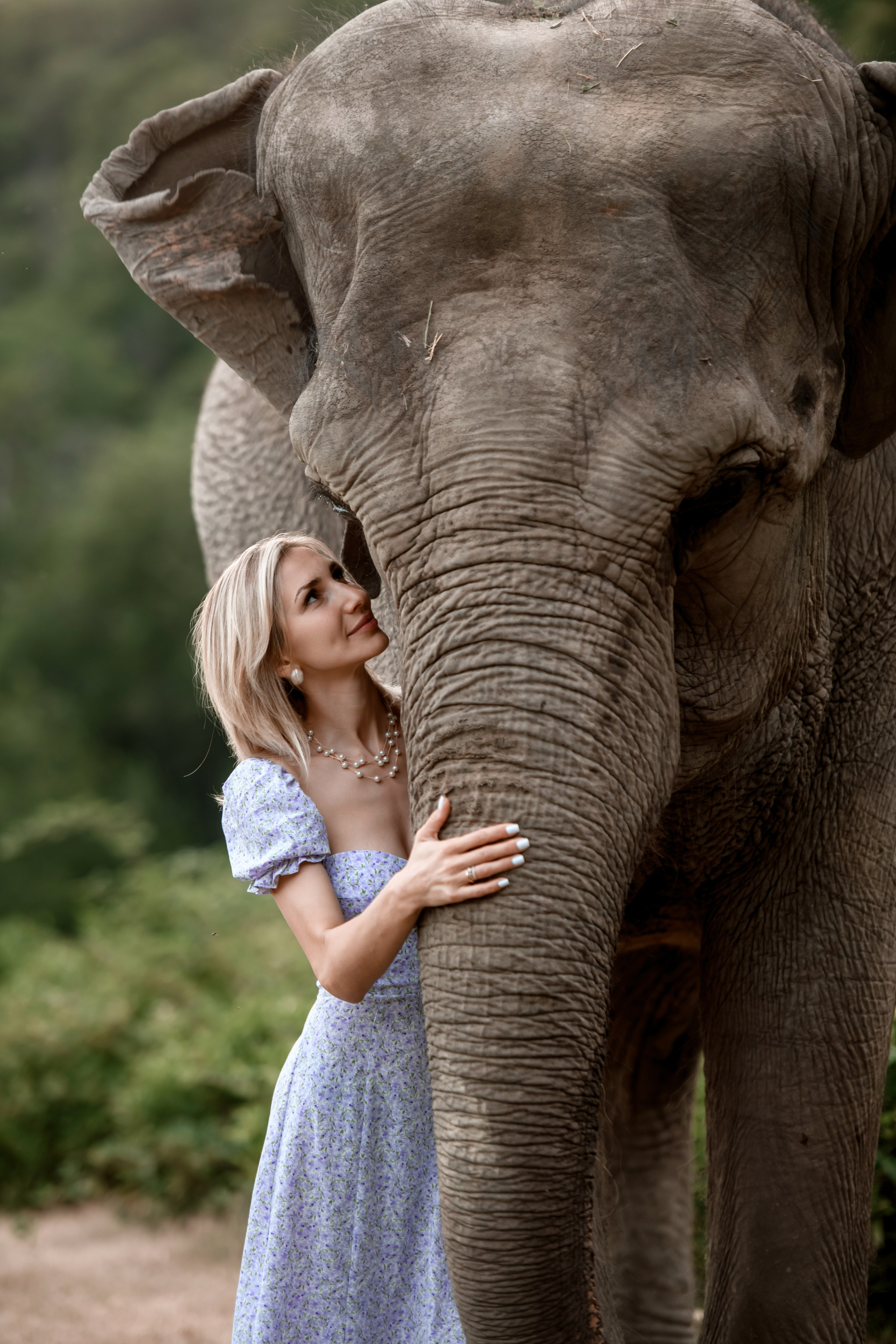 Прогулка со слонами. Фотограф в сочи Свадебный фотограф Сочи