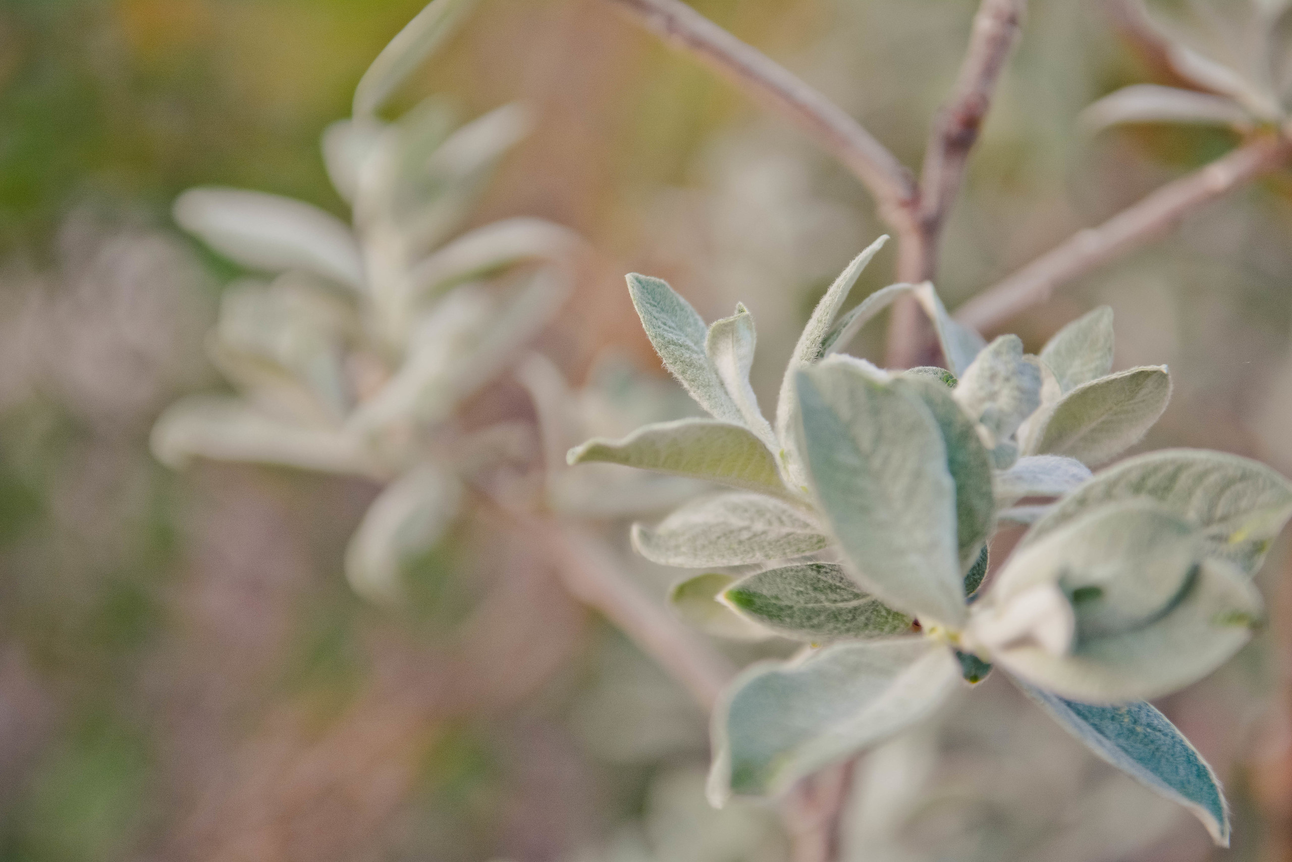 Пейзажи. Фотограф Норильск, Москва