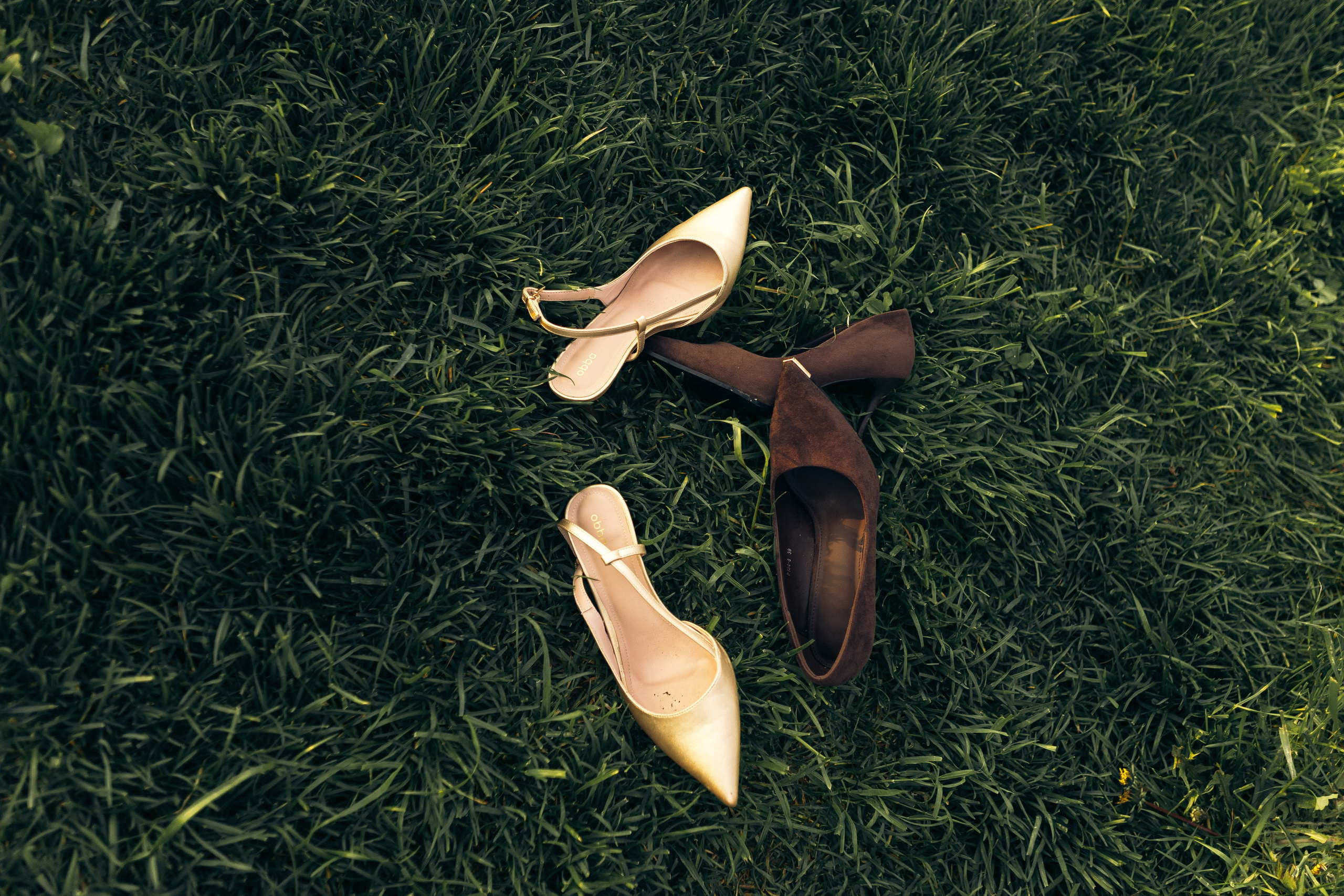 Vinity Forest. Фотограф Анастасия Платонова | Санкт-Петербург