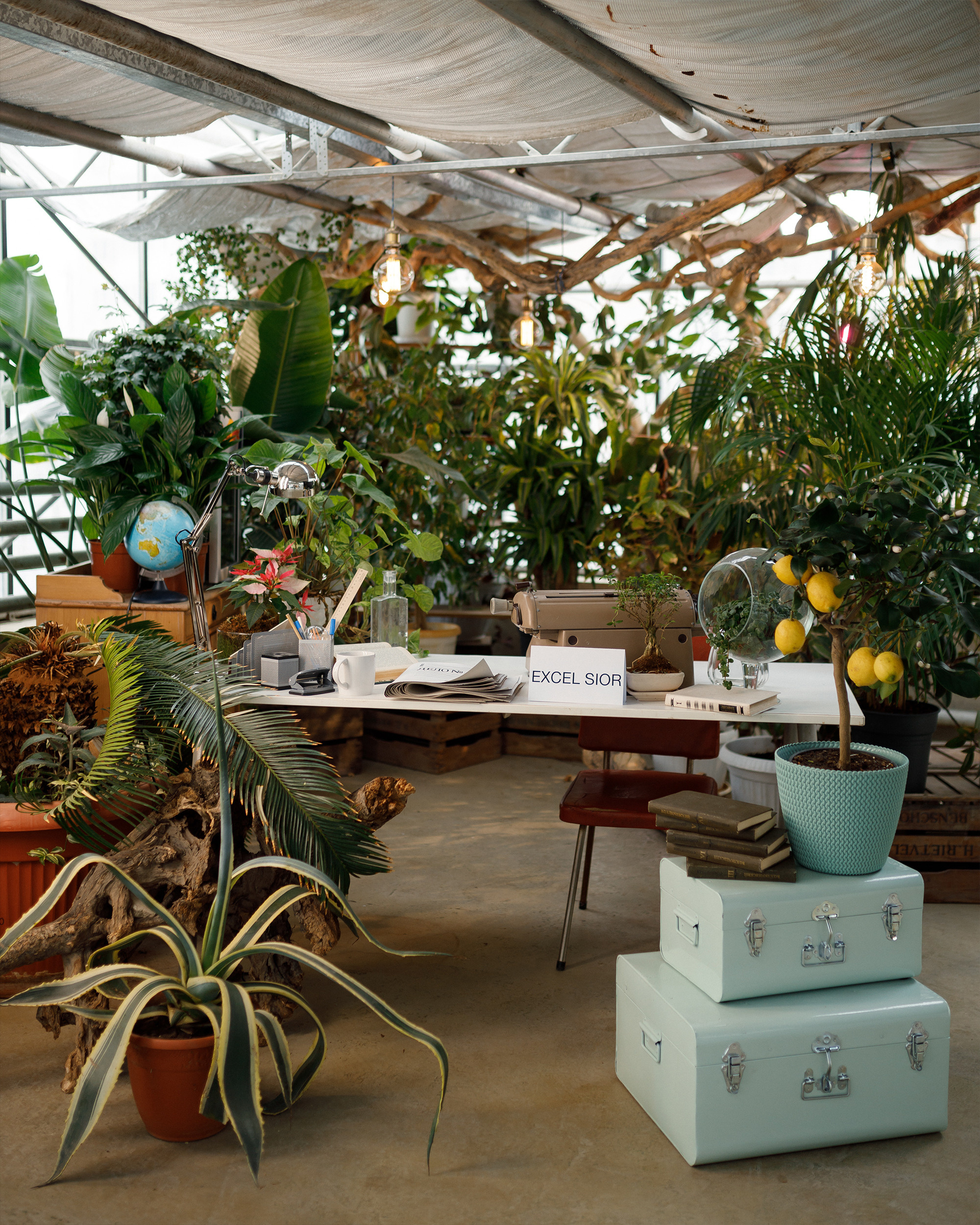 Campaign. Фотограф в Краснодаре Эдуард Канукаев