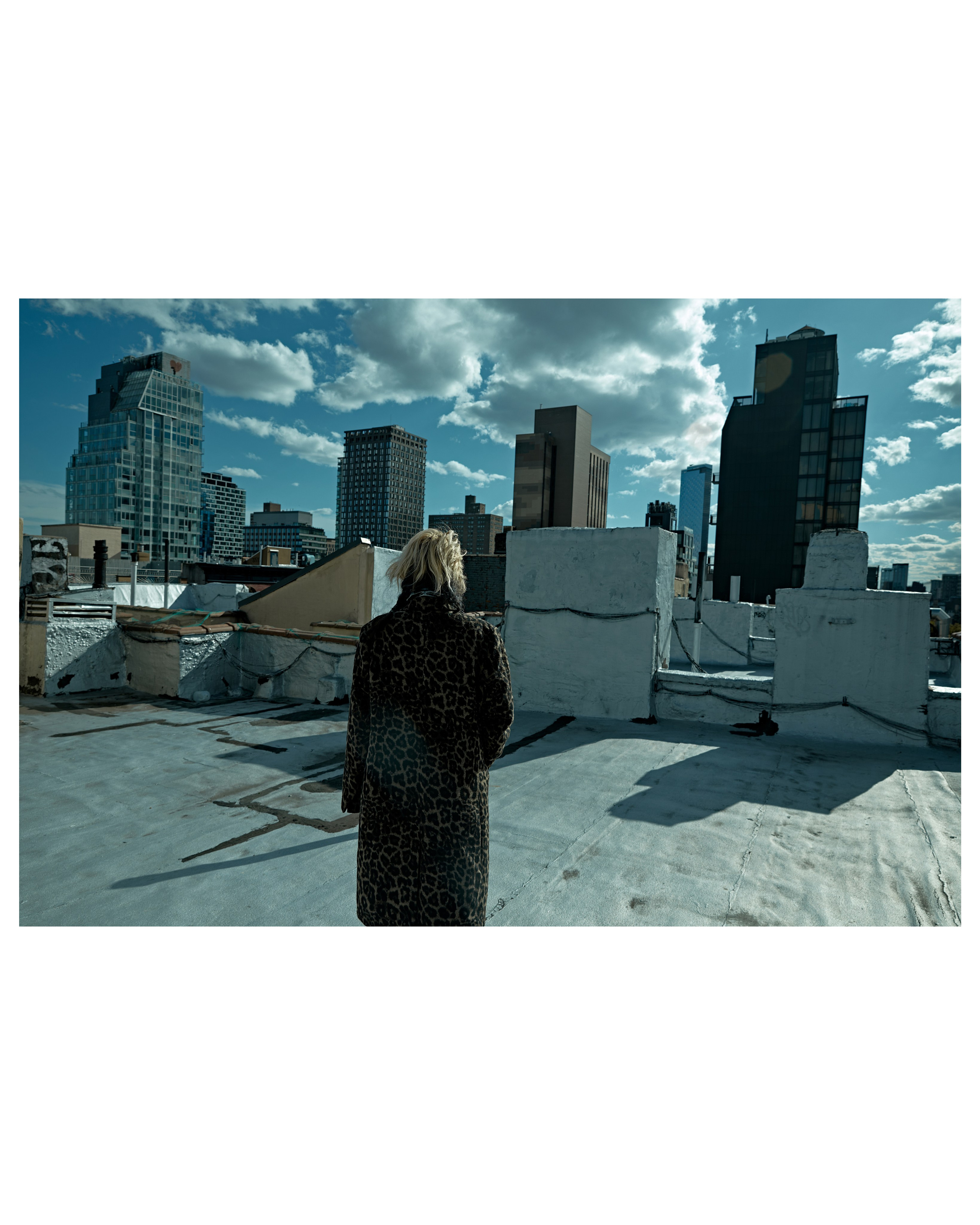 LIZ KRESCH. WOMEN OF NEW YORK