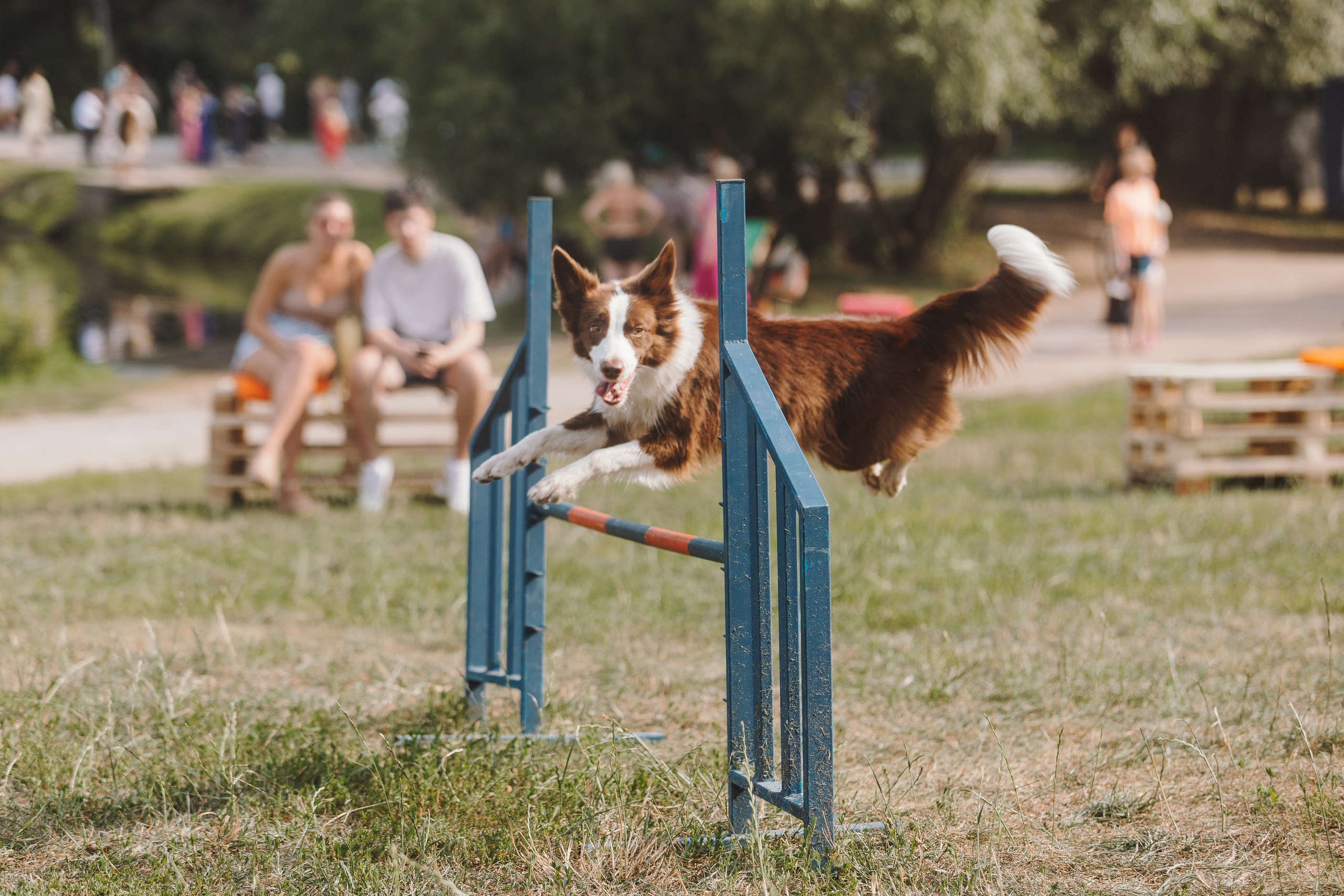 Petshop Sup day. Фотограф анималист Кристина Карпова, Москва