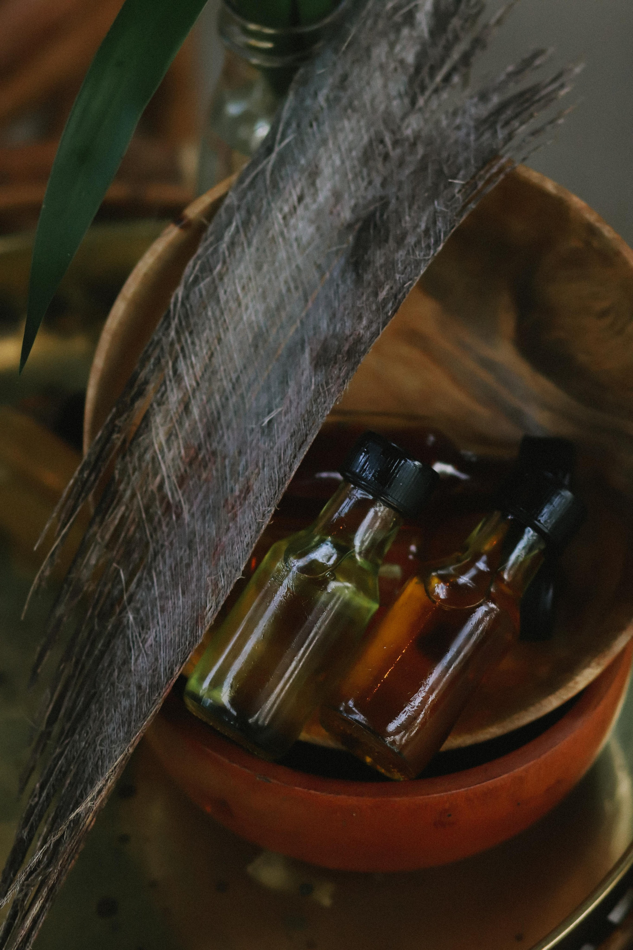 Массажист Дарина. Фотограф на Шри-Ланке