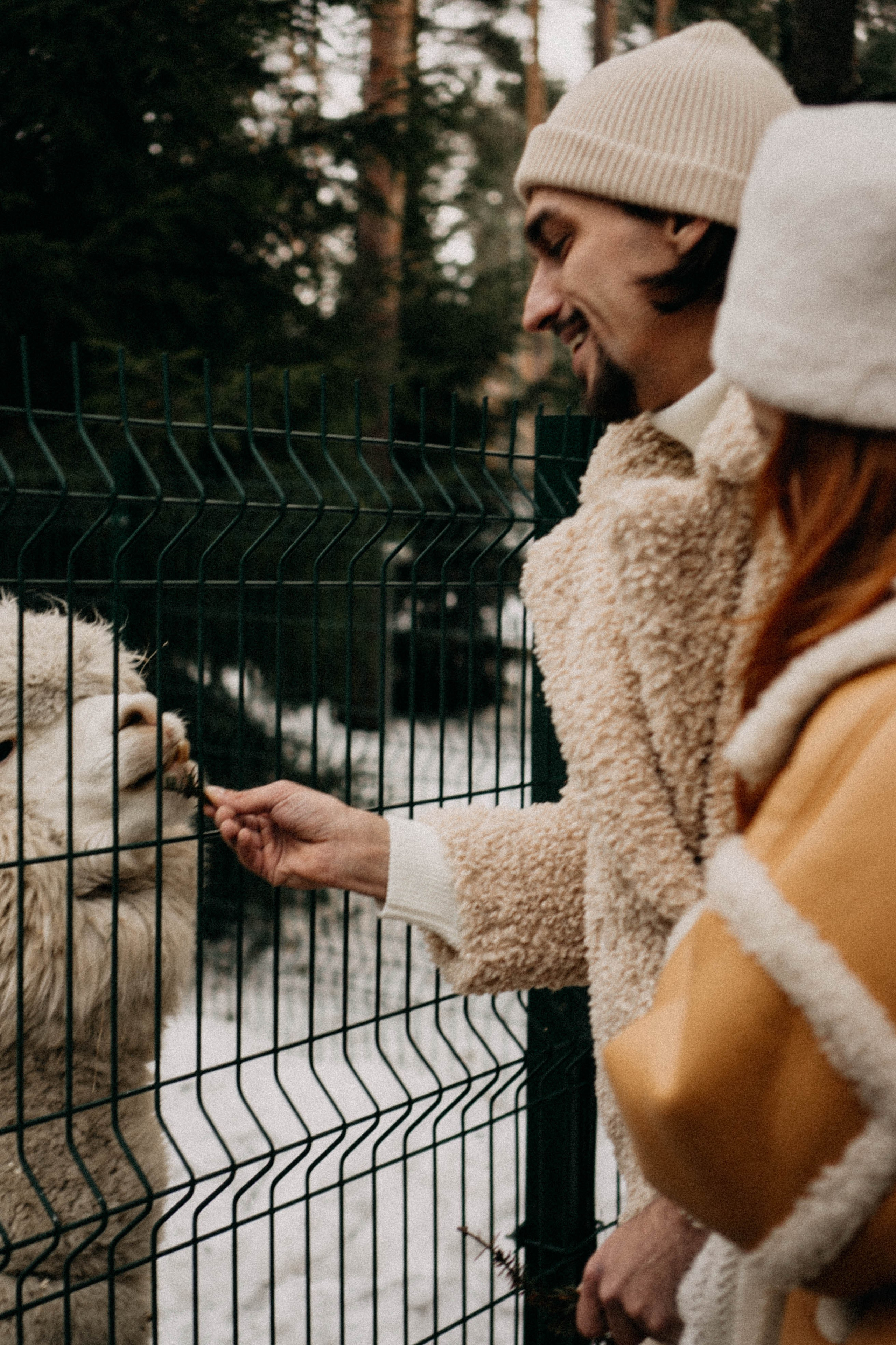 Каток. Профессиональный фотограф, Санкт-Петербург — Виктория Богомолова