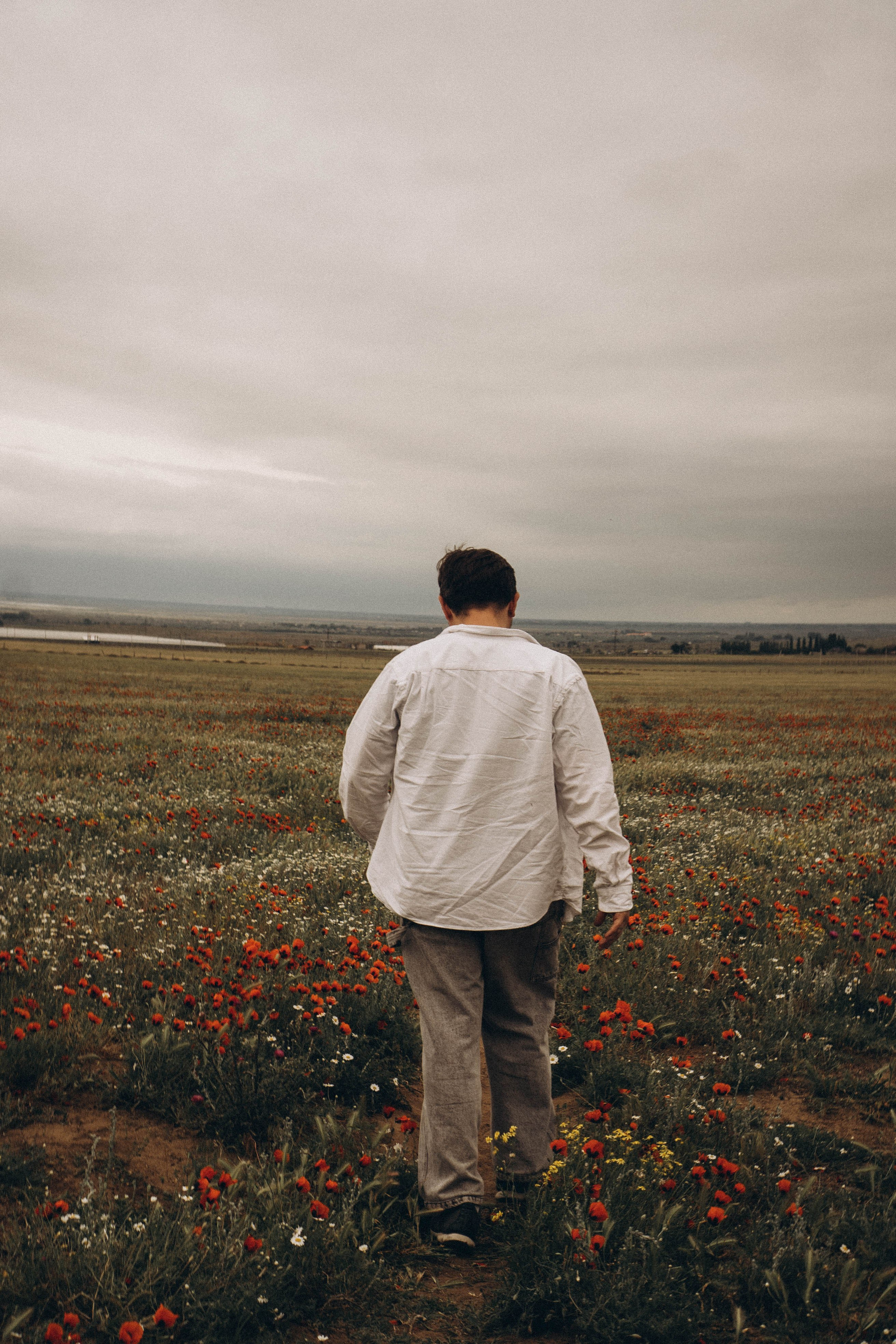 Маки. Профессиональный фотограф, Санкт-Петербург — Виктория Богомолова