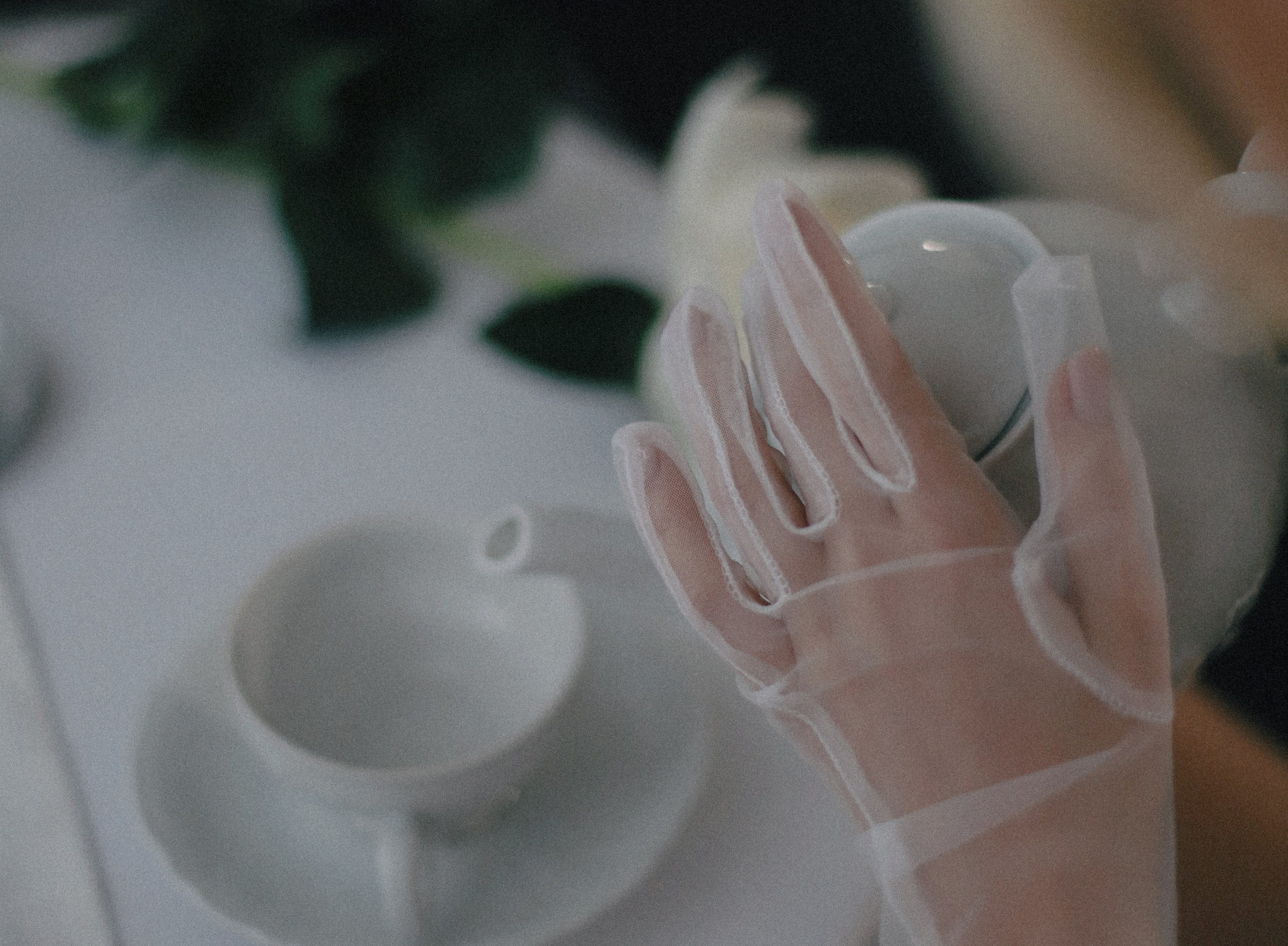 Студийная съёмка. 04.12. Фотограф Даша Шпаковская