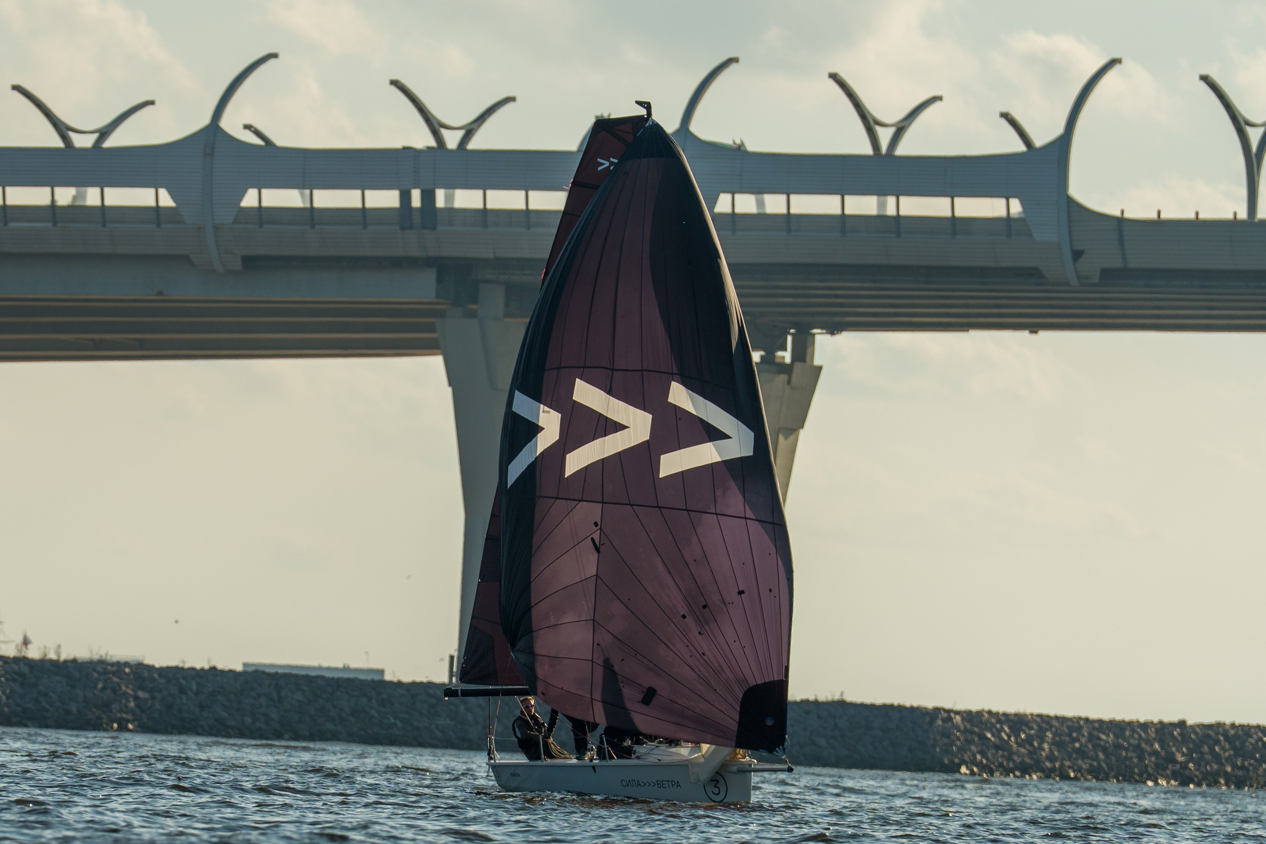 SV20 drives under the bridge on spinnaker, crew trimming hard