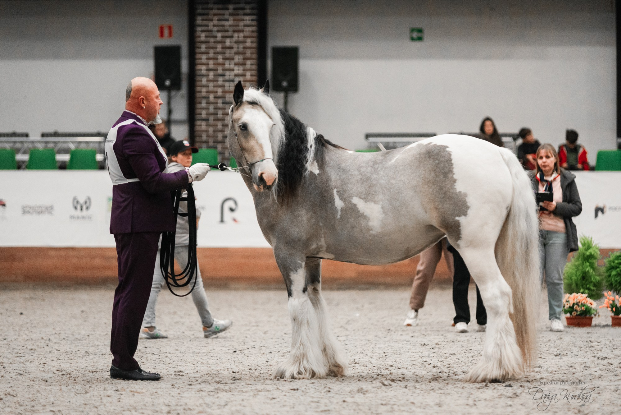 8-я международная выставка Конная Россия. Конный фотограф Куракина Дарья • Фотосессии с лошадьми