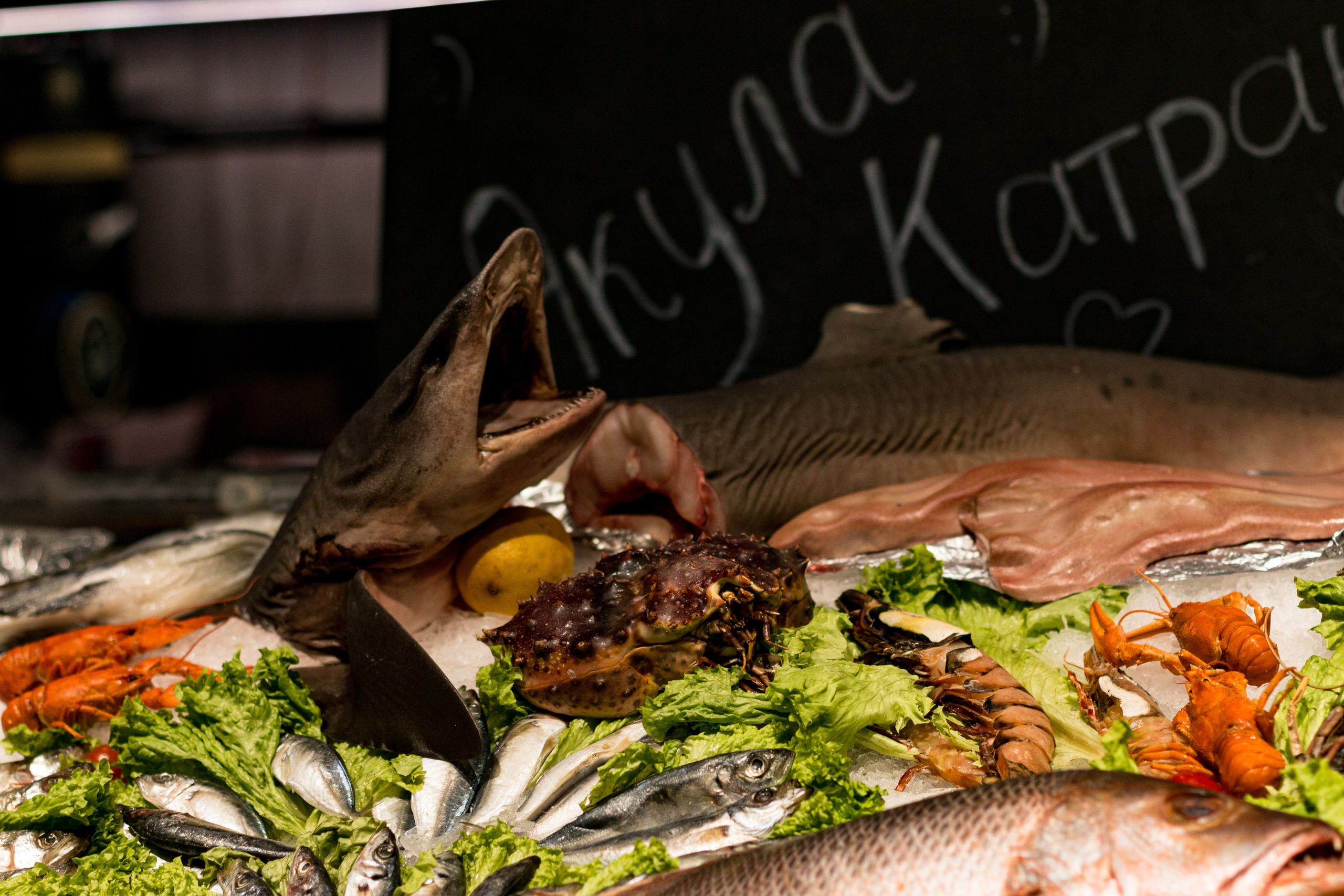 Москва. Фотограф в Сочи