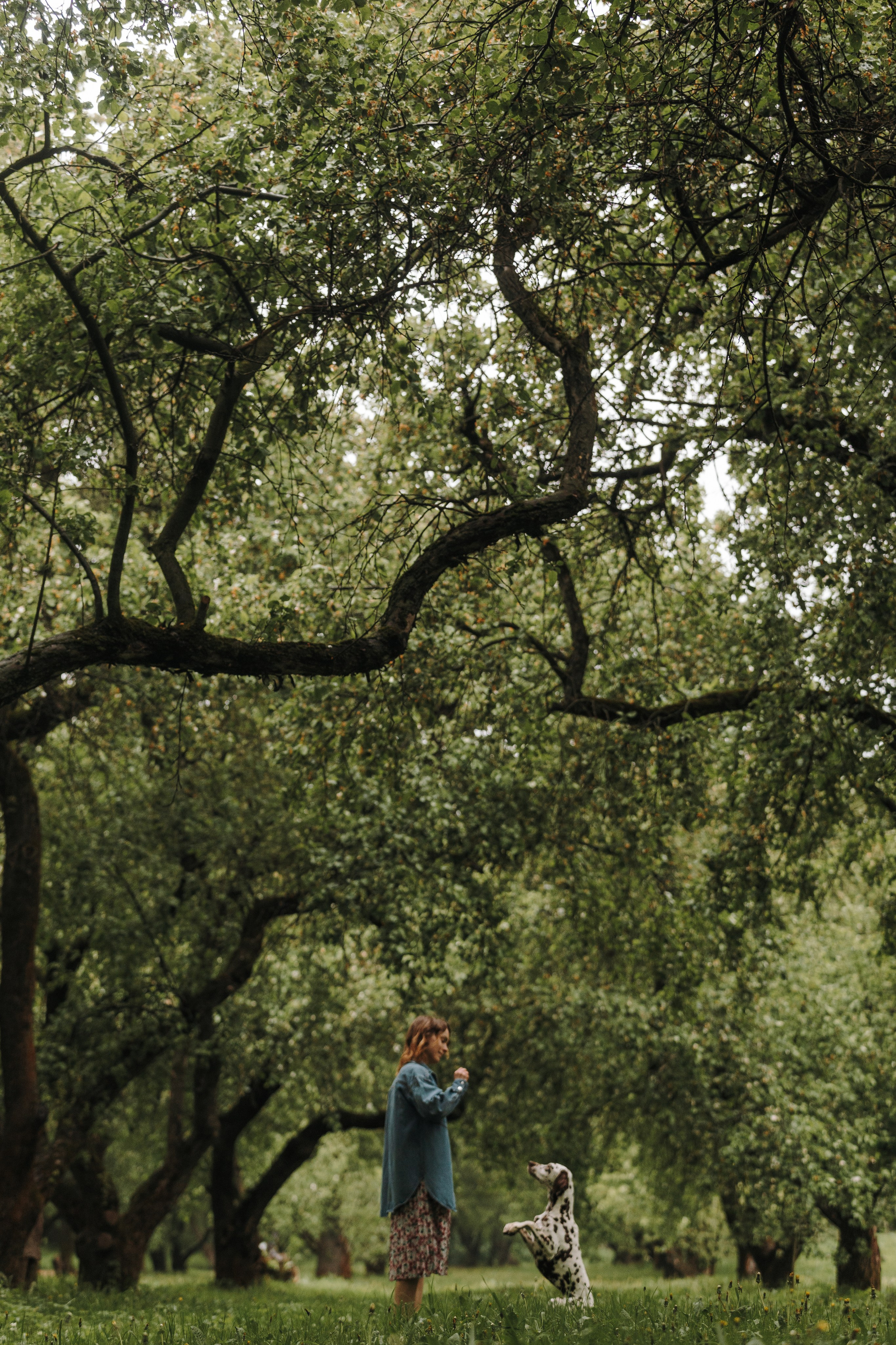 Лили, Уся, Вика и их семья. Фотограф анималист Кристина Карпова, Москва