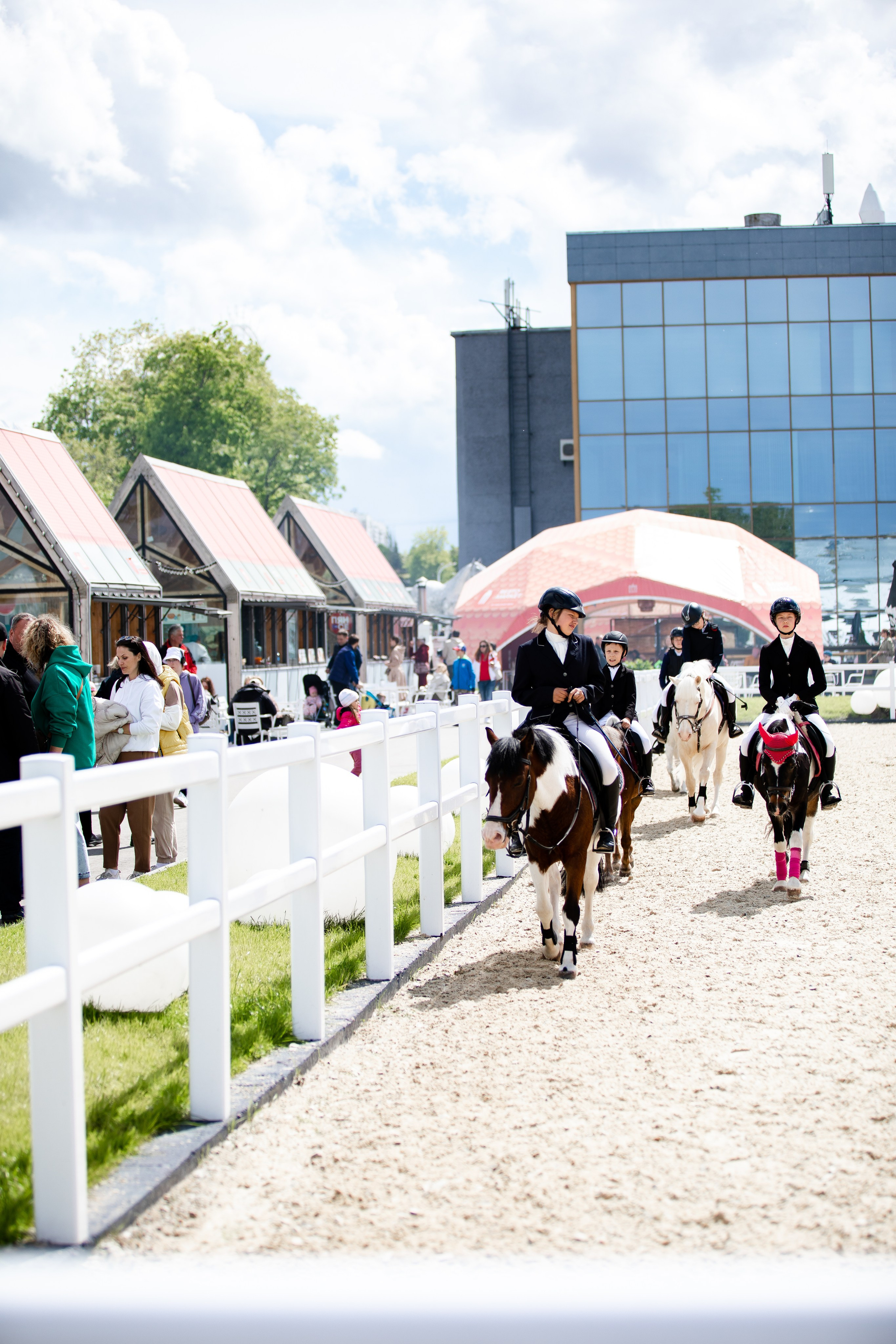 Турниры. Veronika Makeeva horse photo