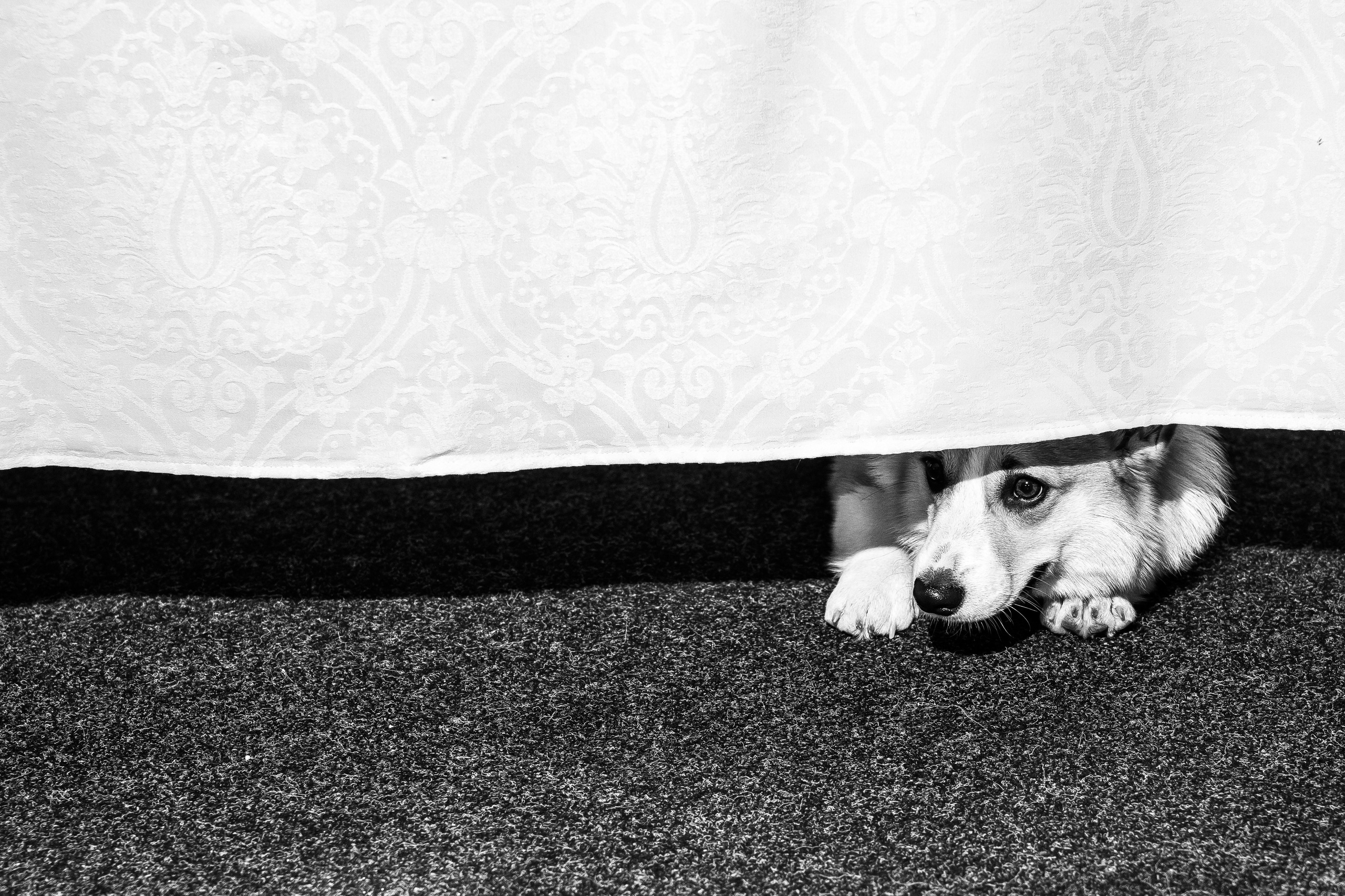 Свадебная серия. Свадебный фотограф в Иваново Гитарина Черняева