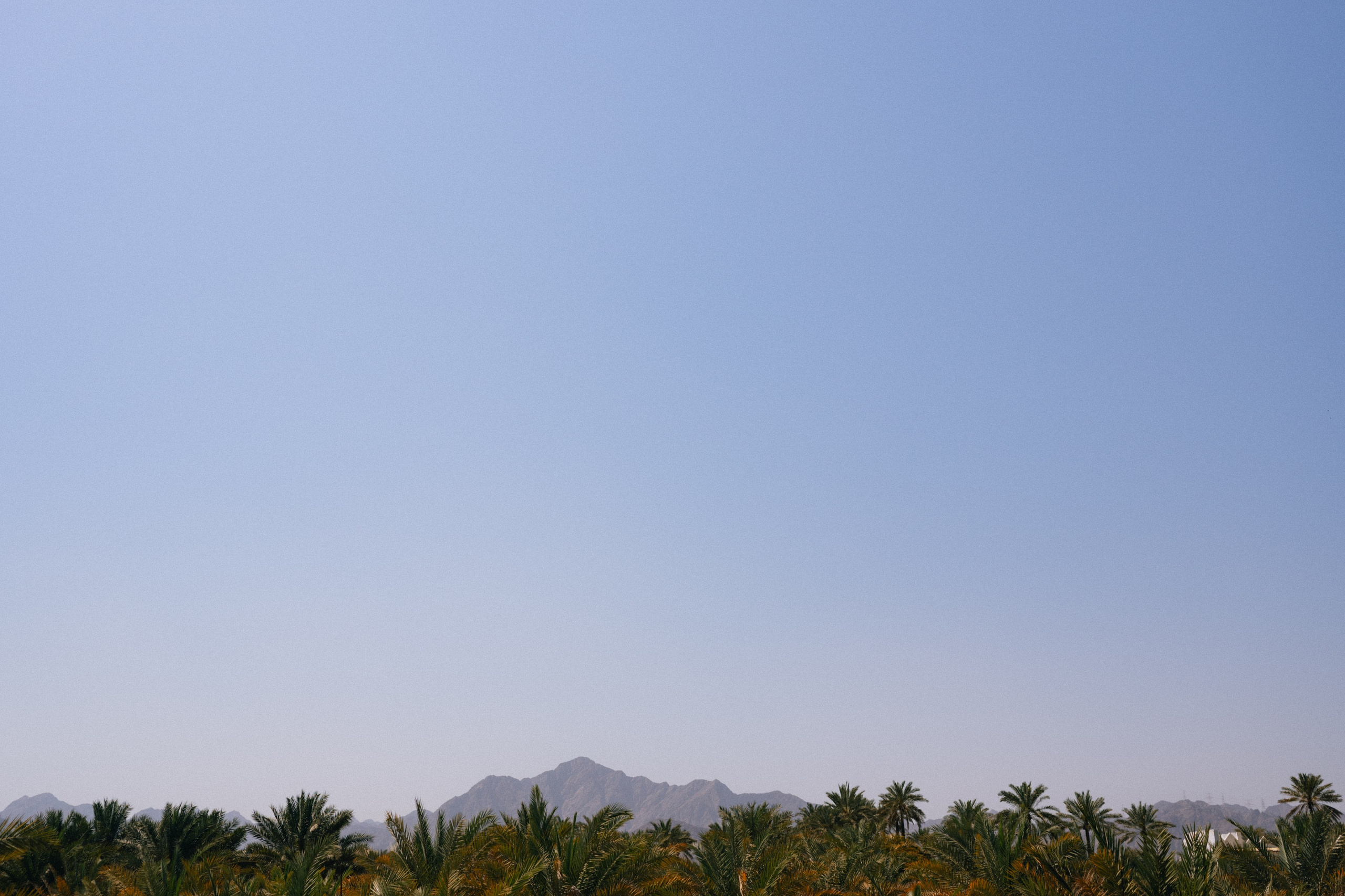 FUJEIRAH. Свадебный и семейный фотограф Никита Корохов