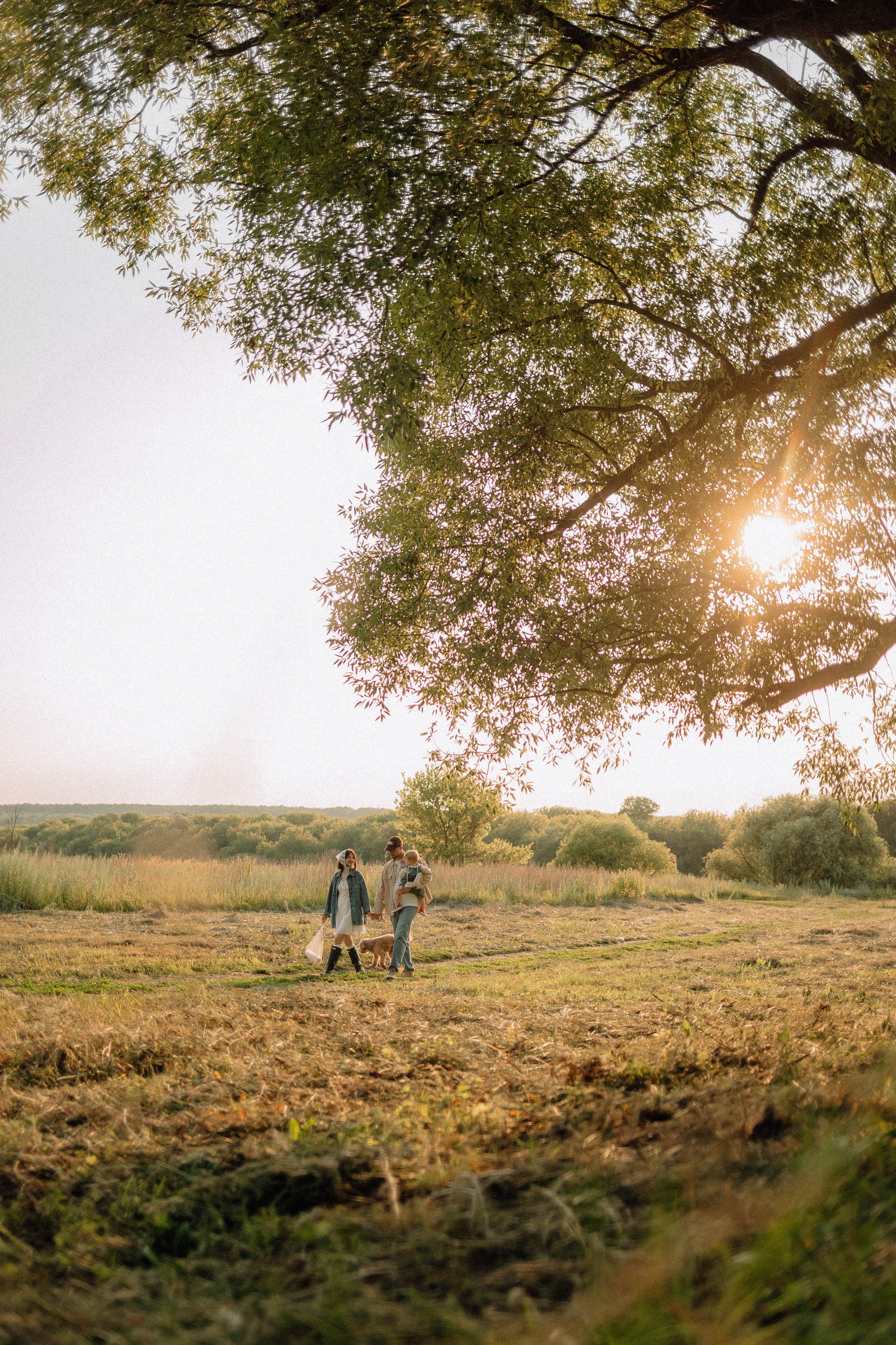Теплым вечером