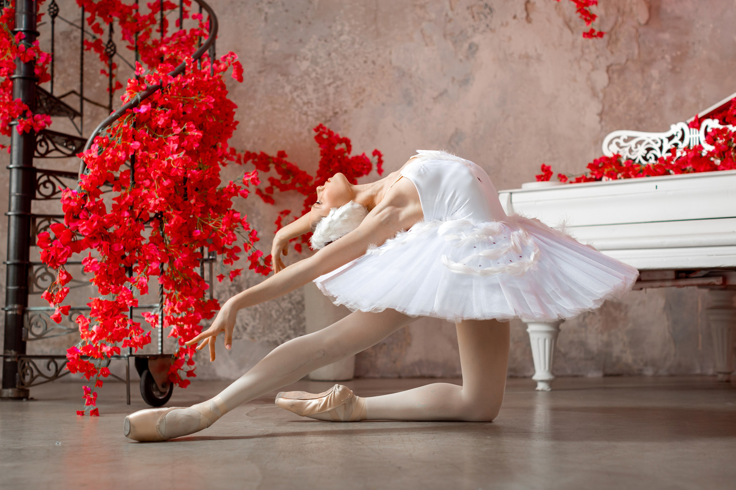 Балетная съёмка в интерьере. Балетный фотограф Алина Ханько — Душа Балета