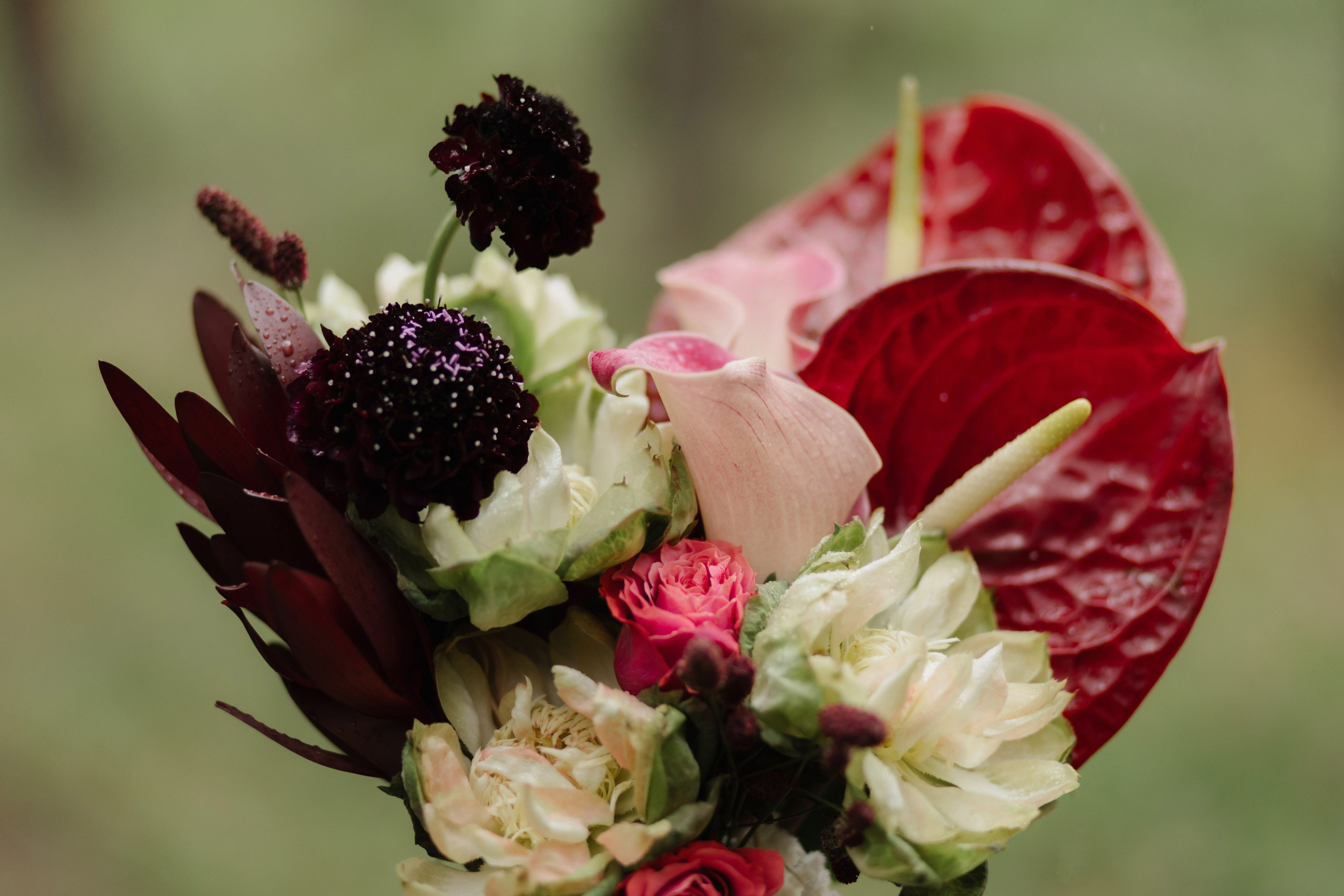 Алексей и Елена. Профессиональная видео и фото съёмка в Калуге и области